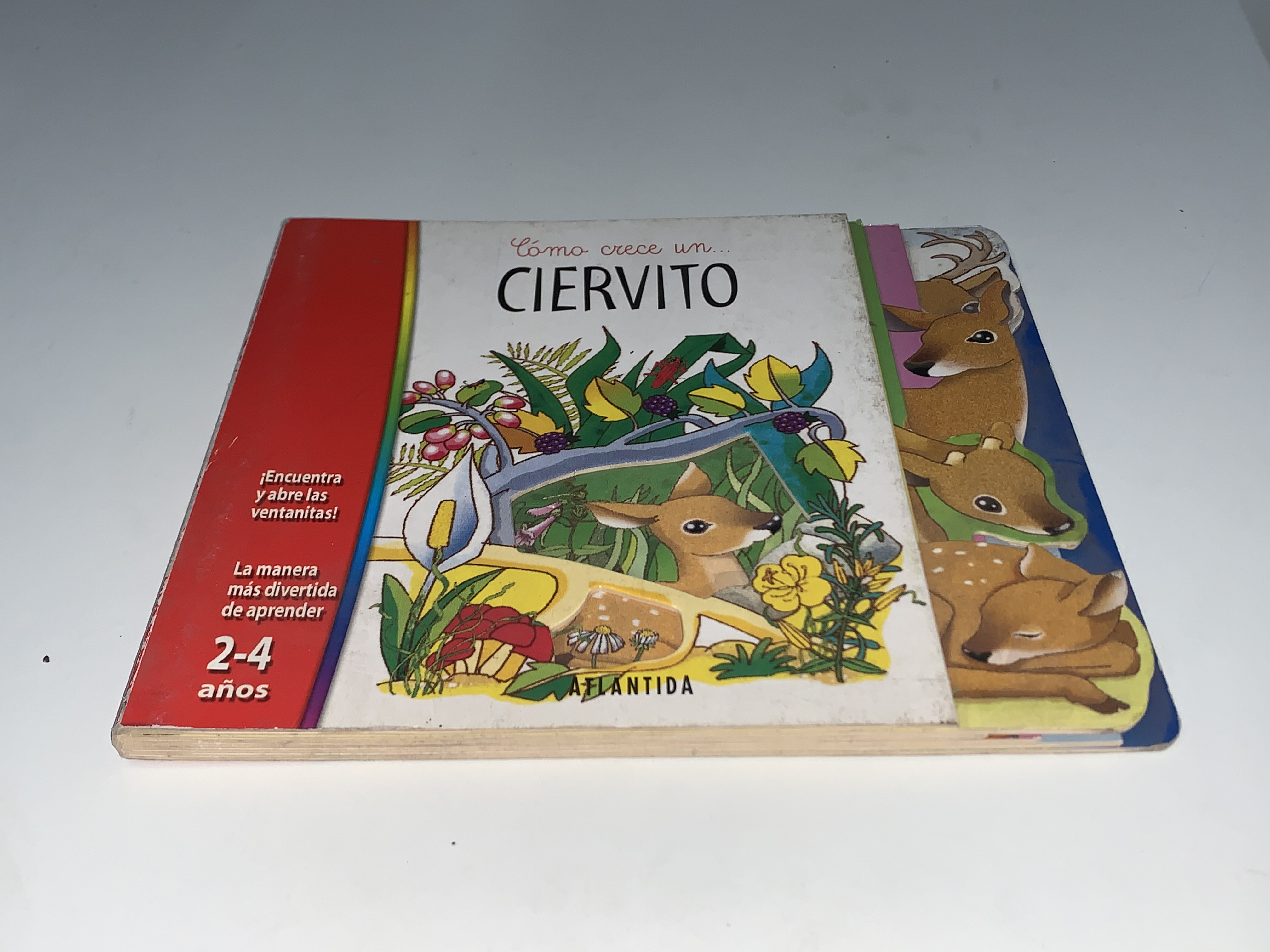 Cómo crece un ciervito
