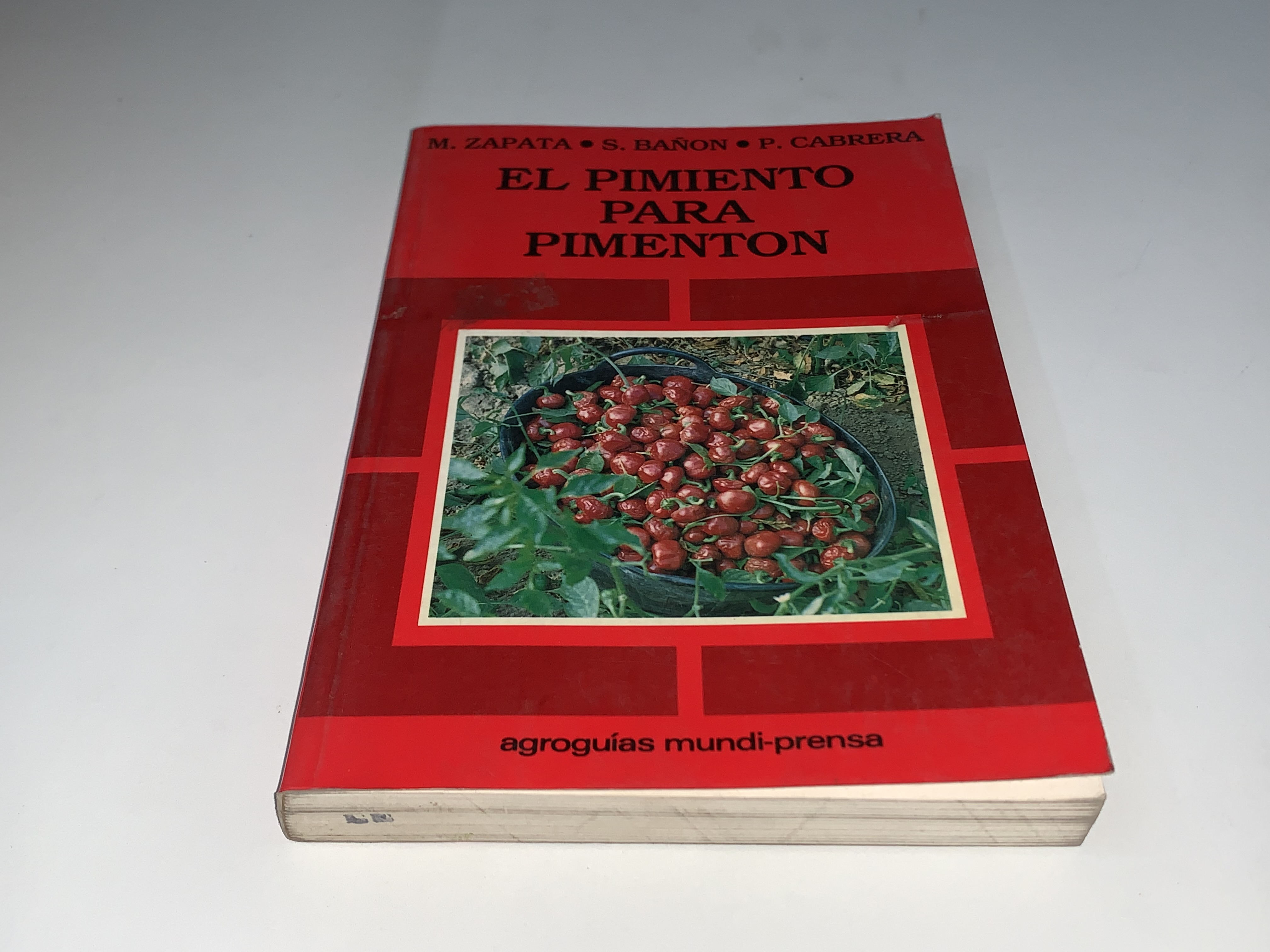 El pimiento para pimentón