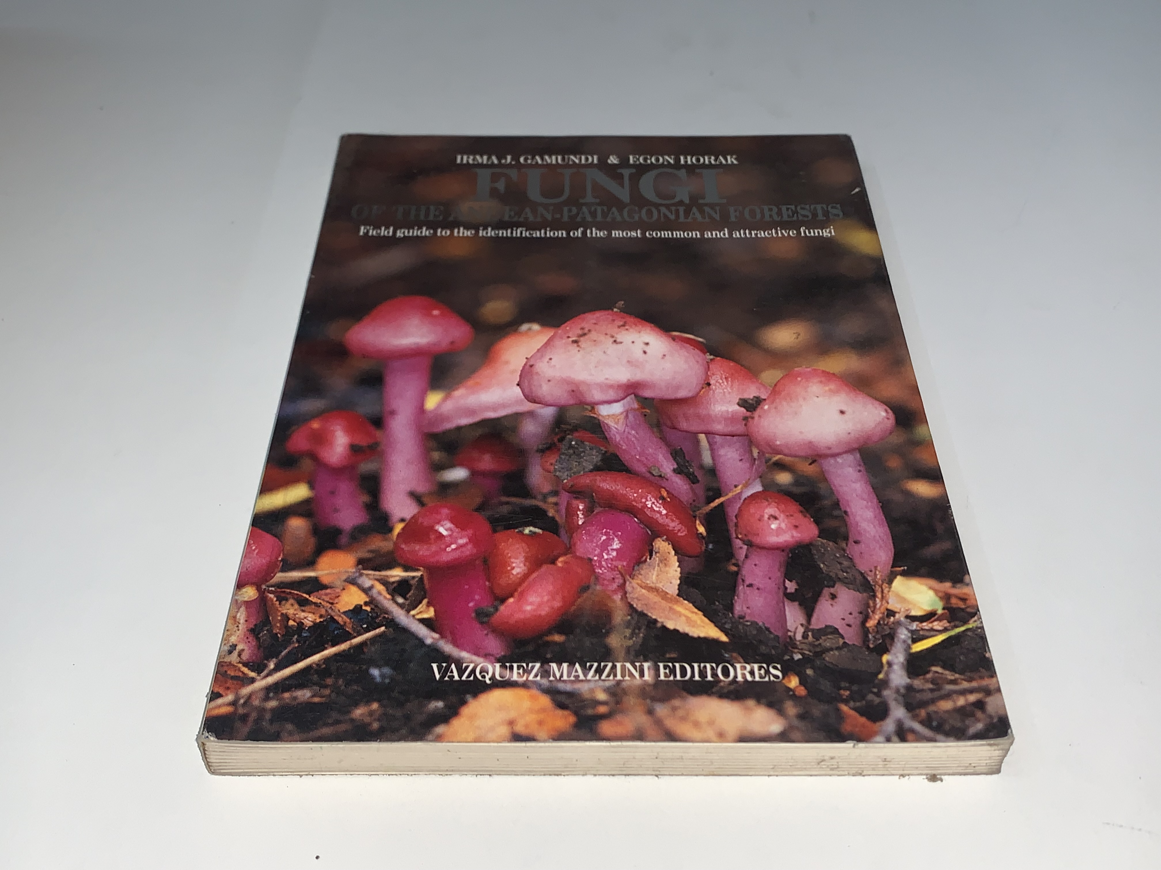 Fungi of the Andean-Patagonian Forests
