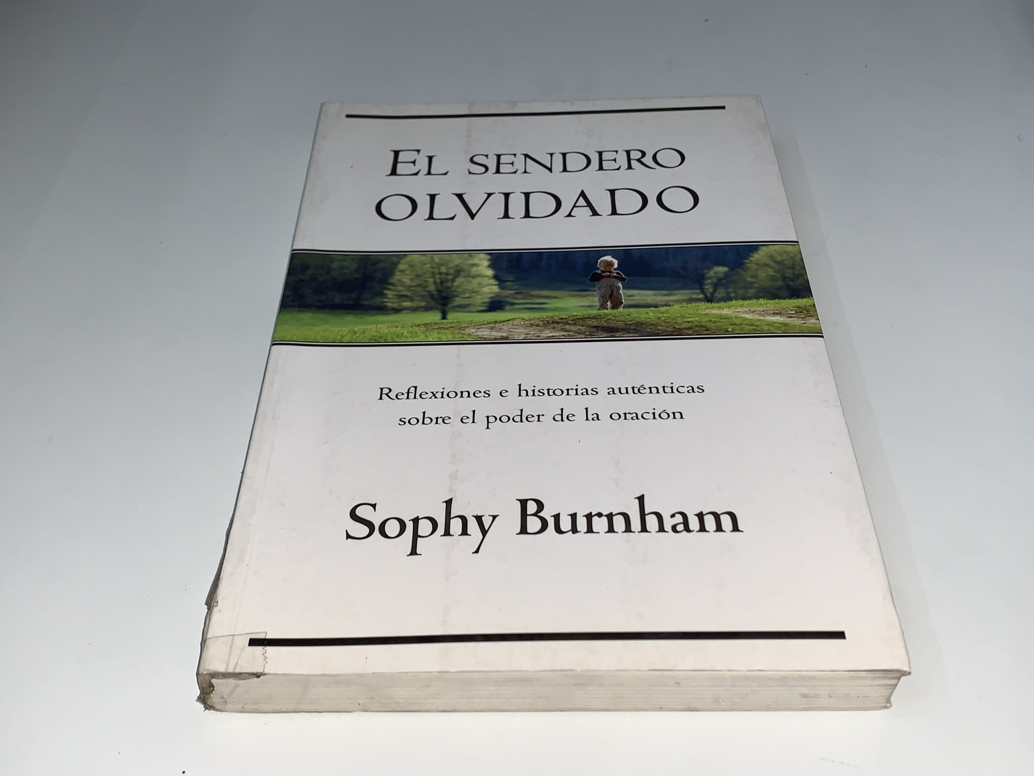 El sendero olvidado