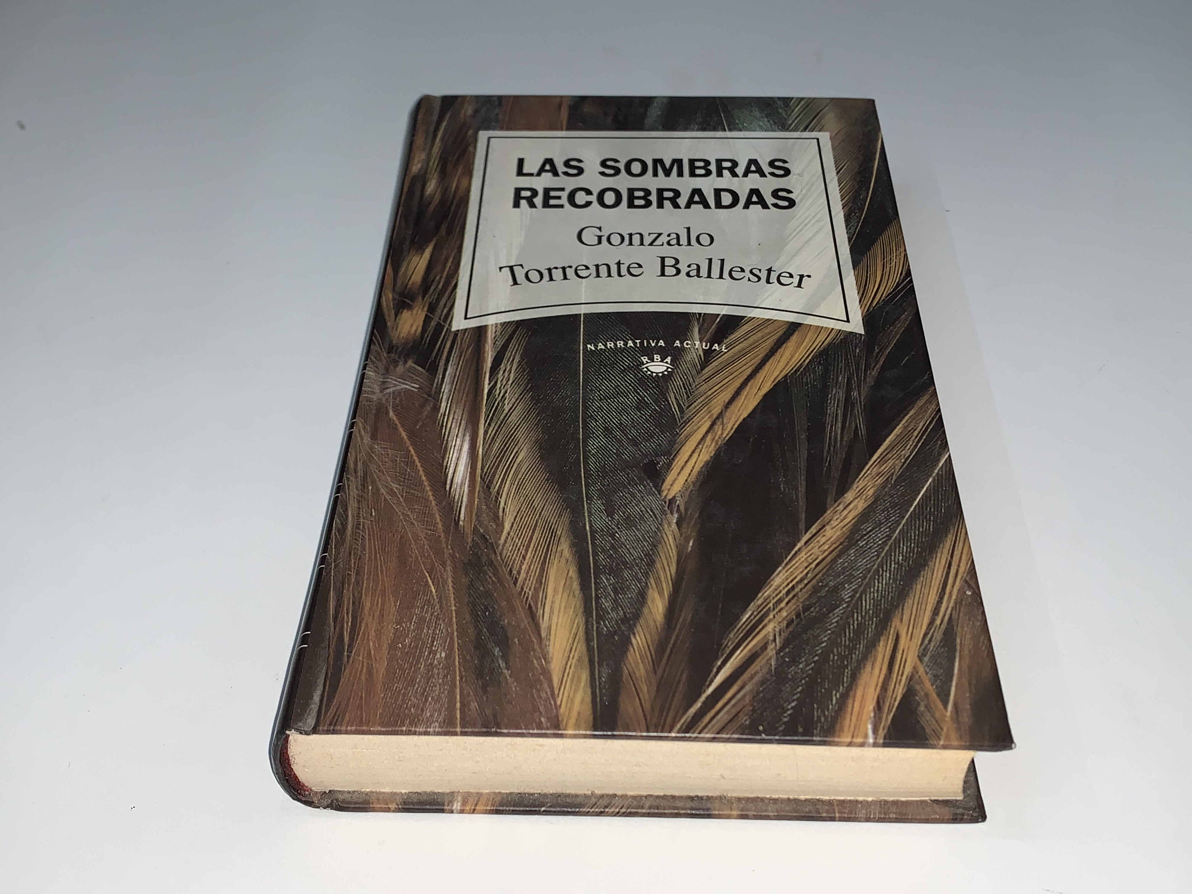 Las sombras recobradas
