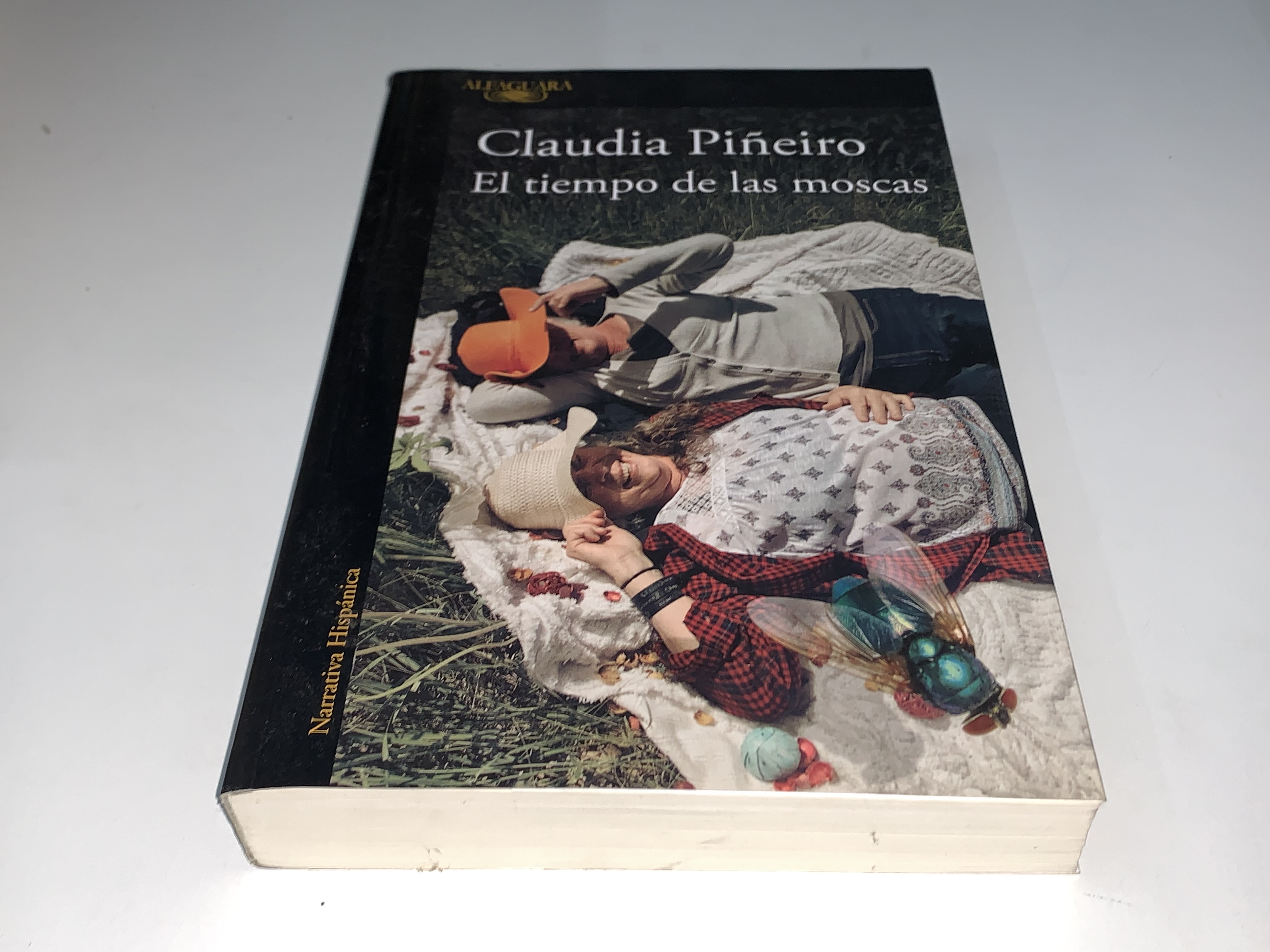 El tiempo de las moscas