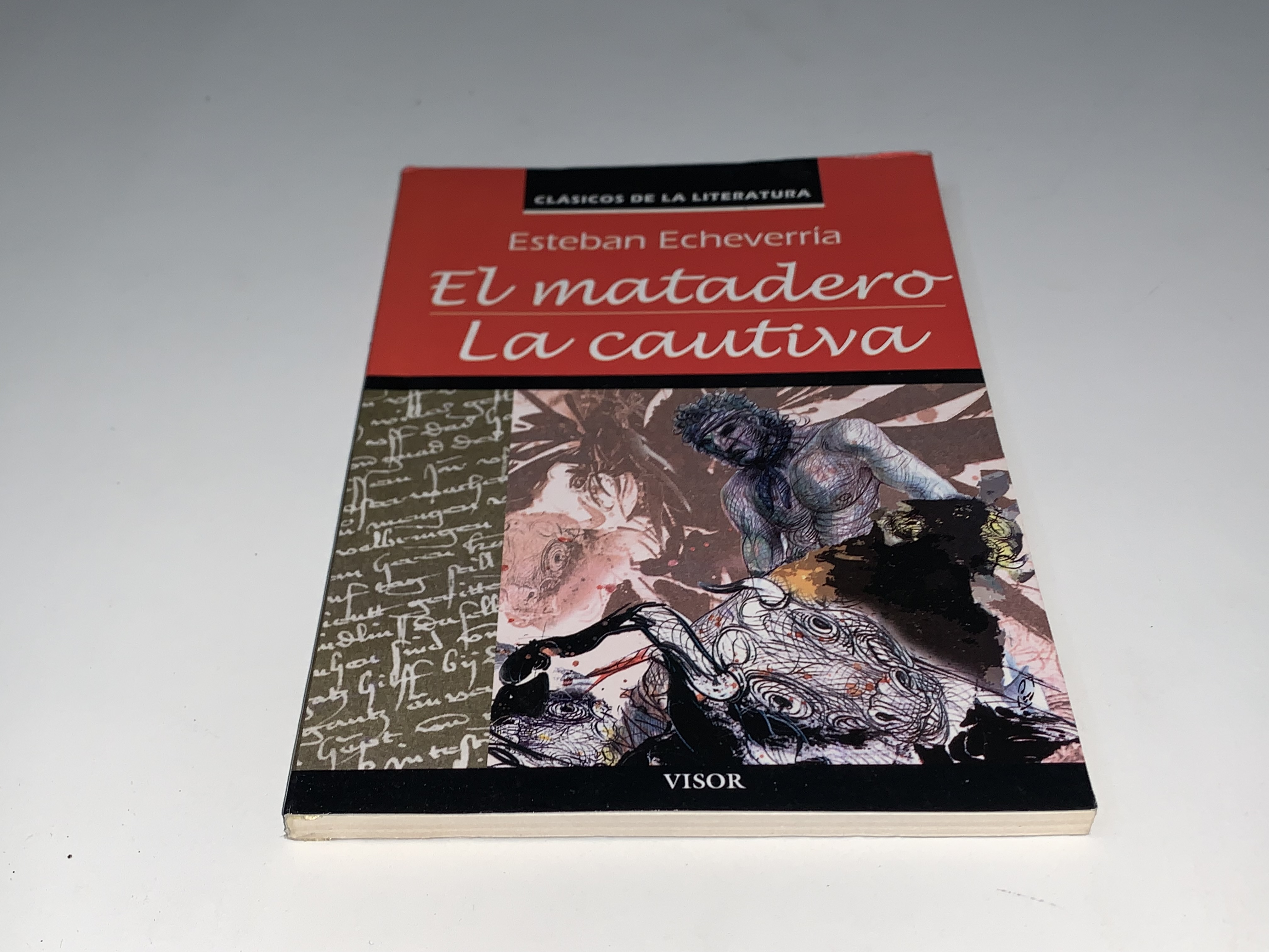 El matadero, La cautiva