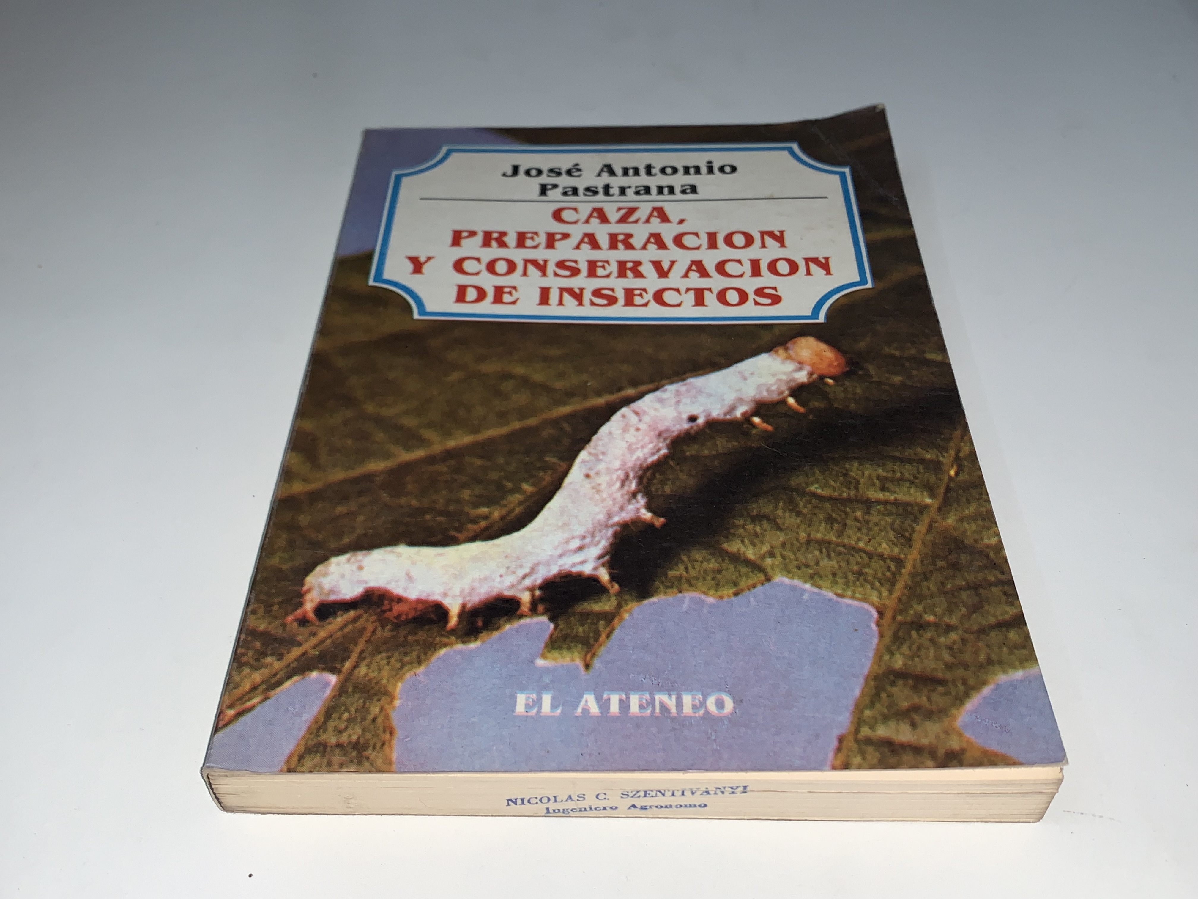 Caza, preparación y conservación de insectos