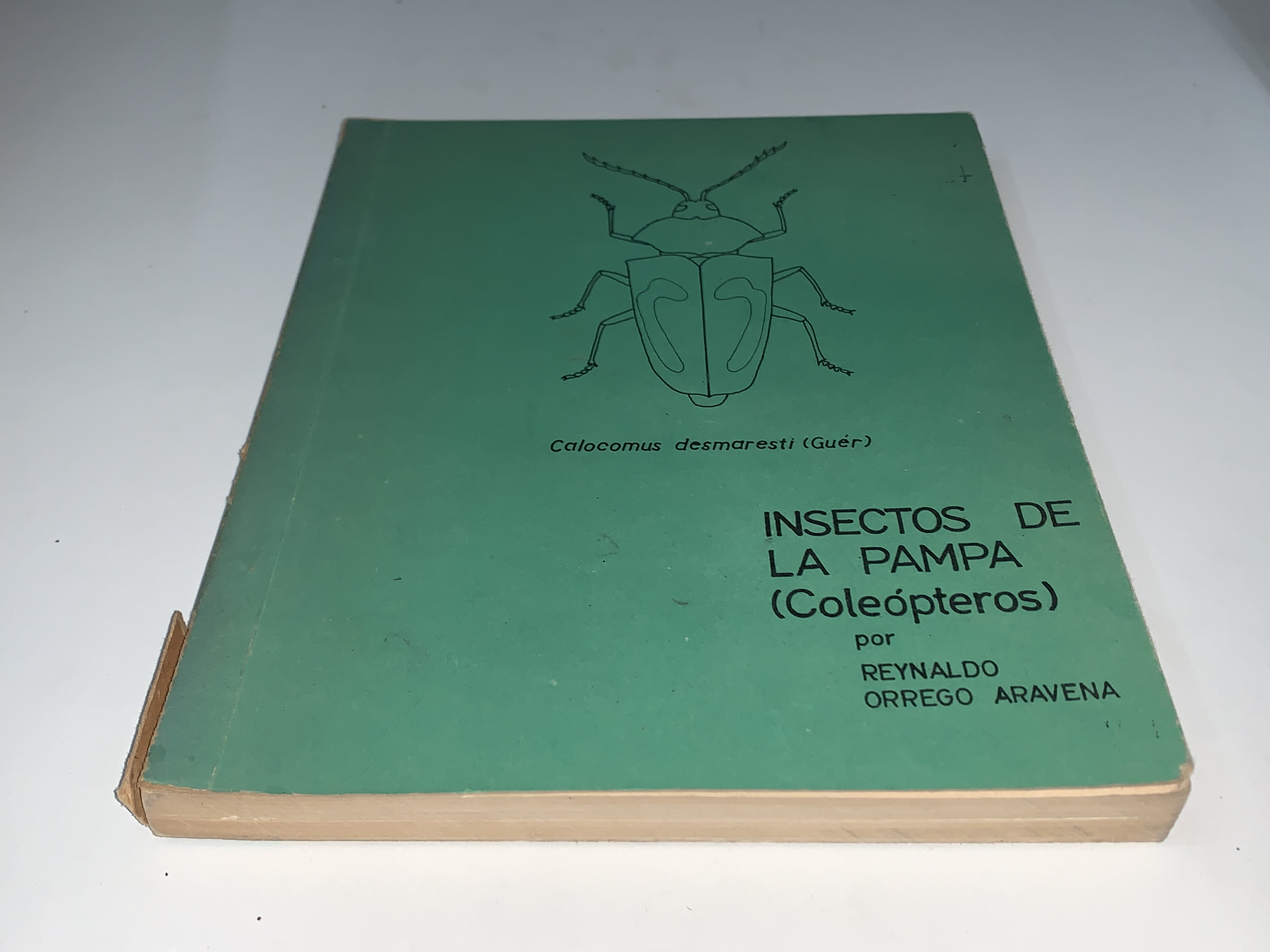 Insectos de la pampa (Coleópteros)
