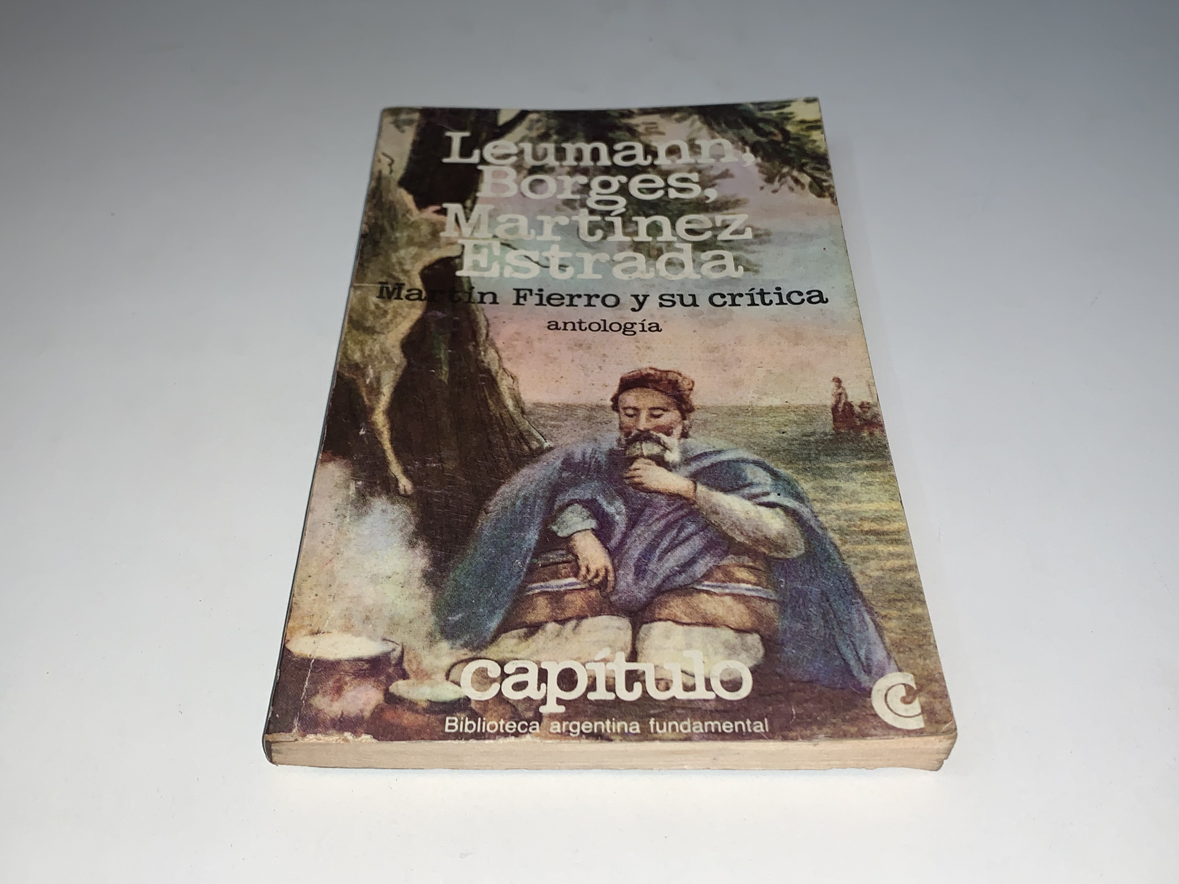 Martín Fierro y su crítica