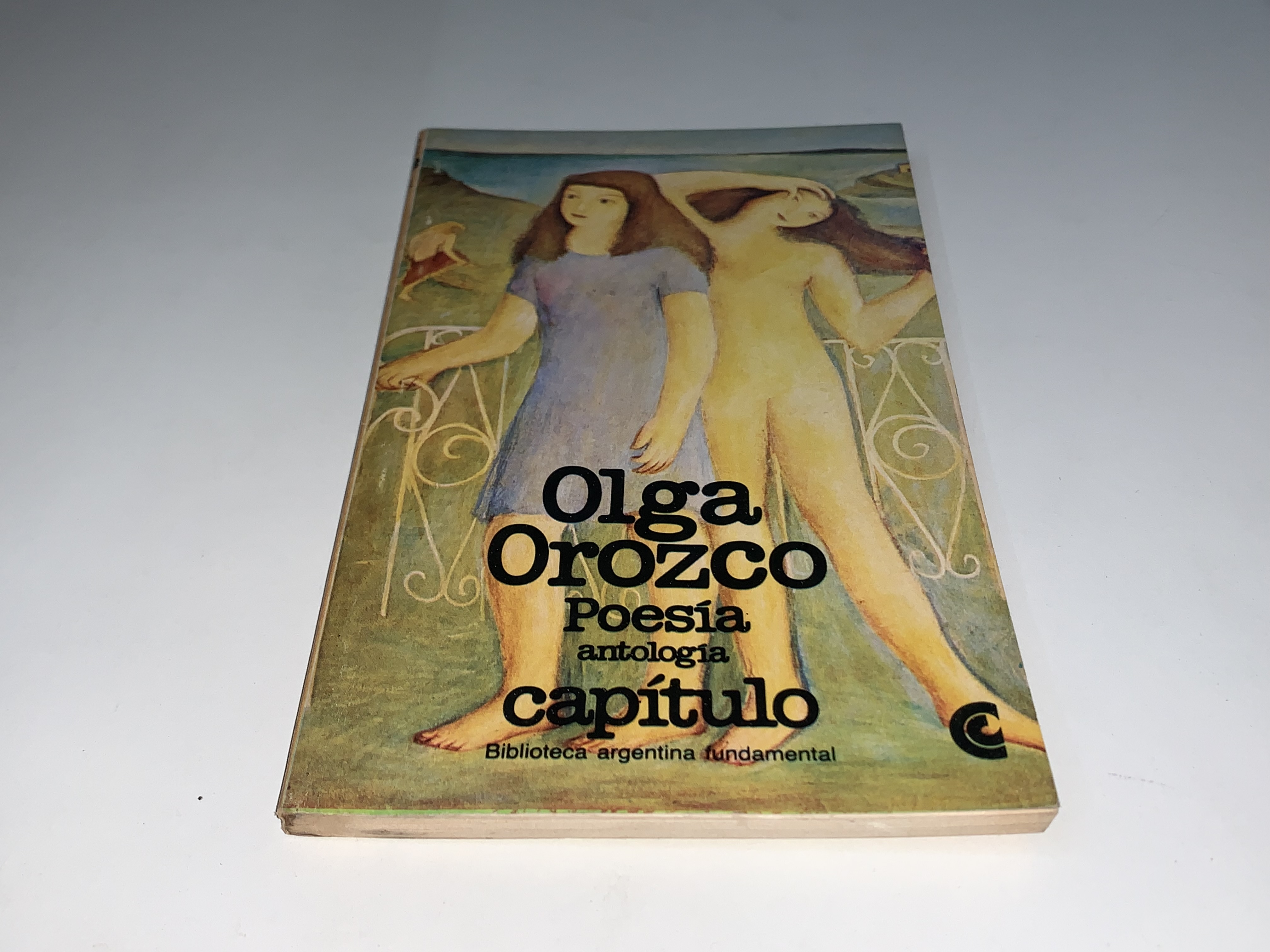 Poesía, antología capítulo