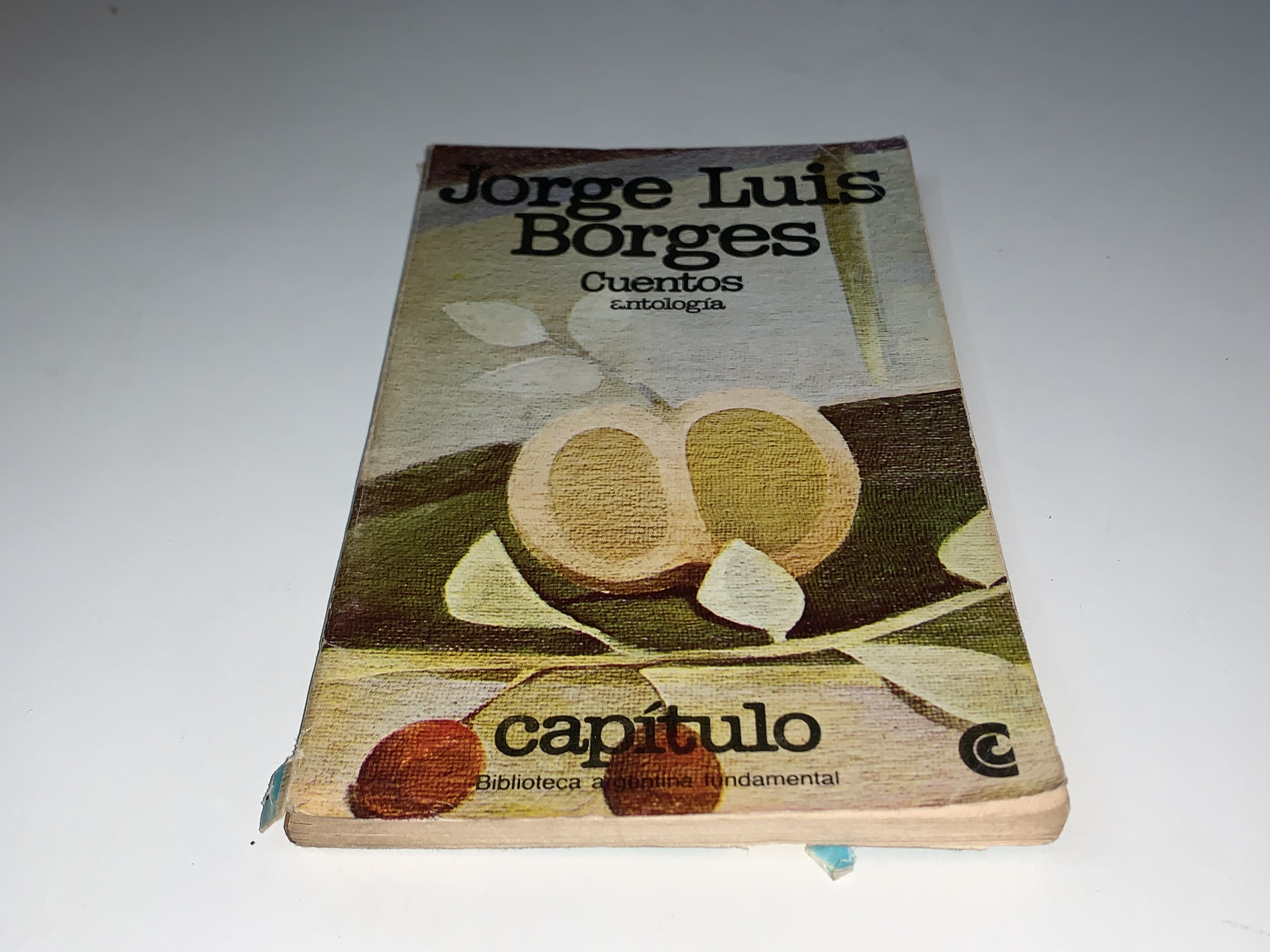 Cuentos