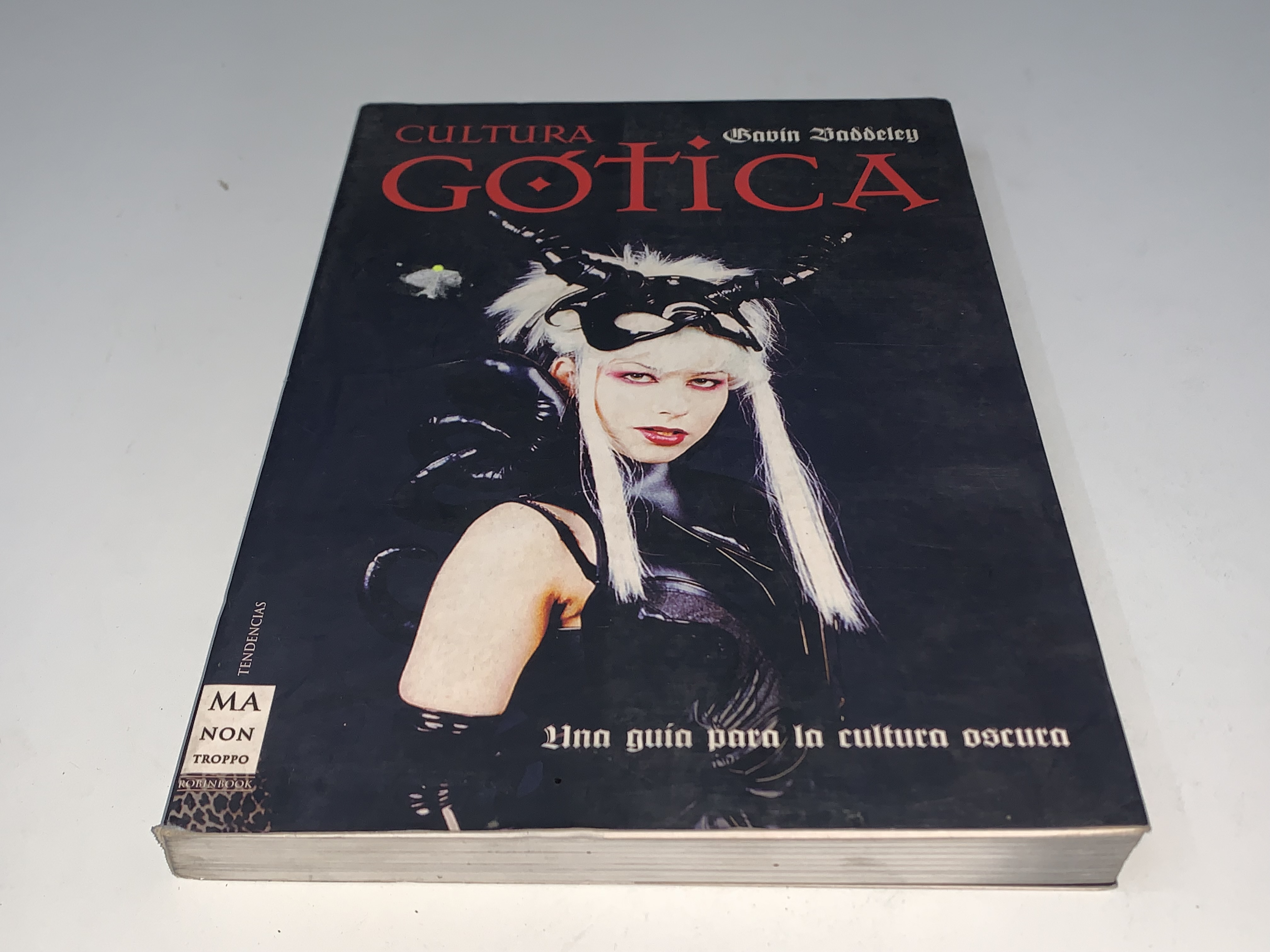 Cultura Gótica