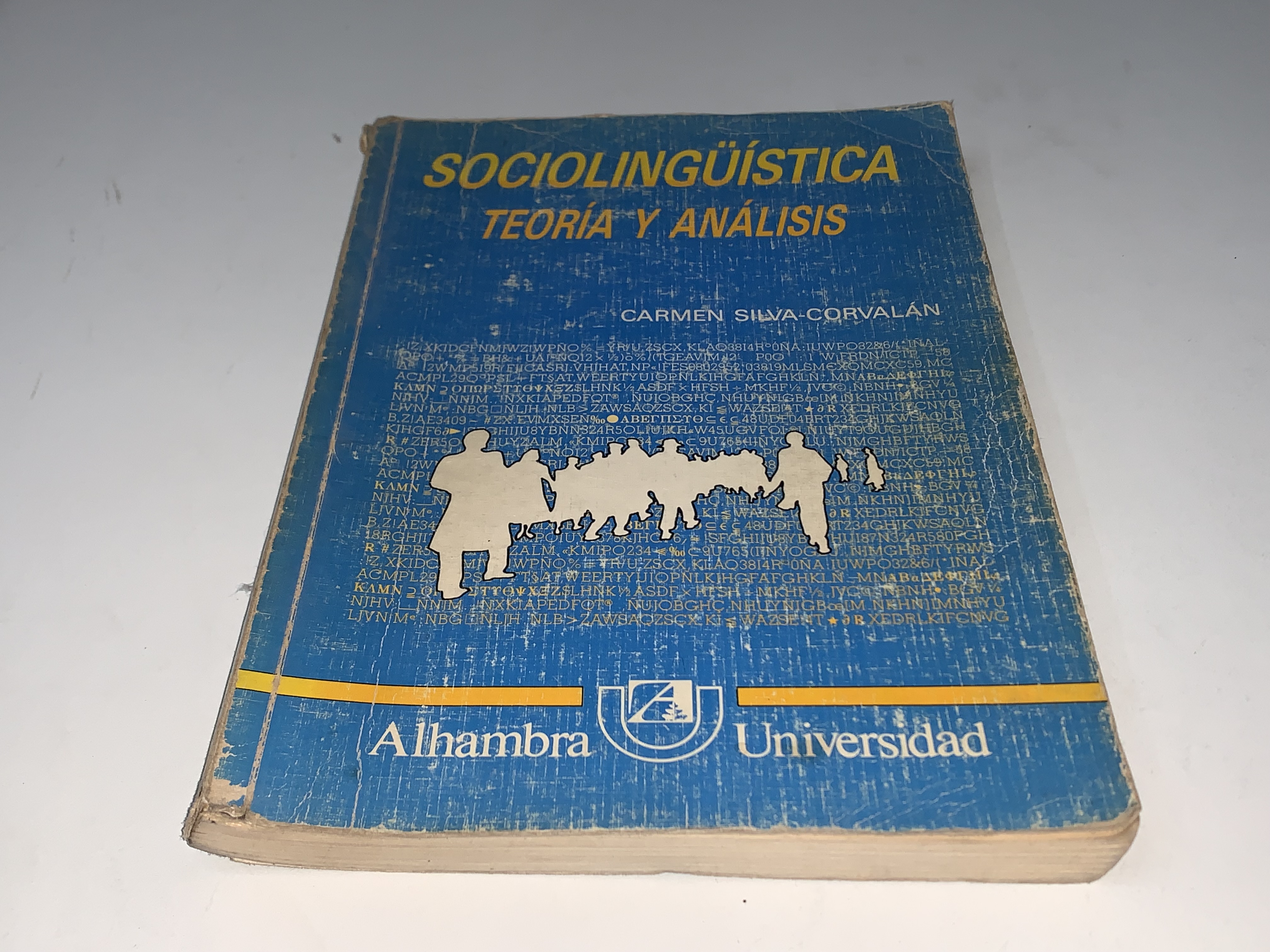 Sociolingüística: Teoría y análisis