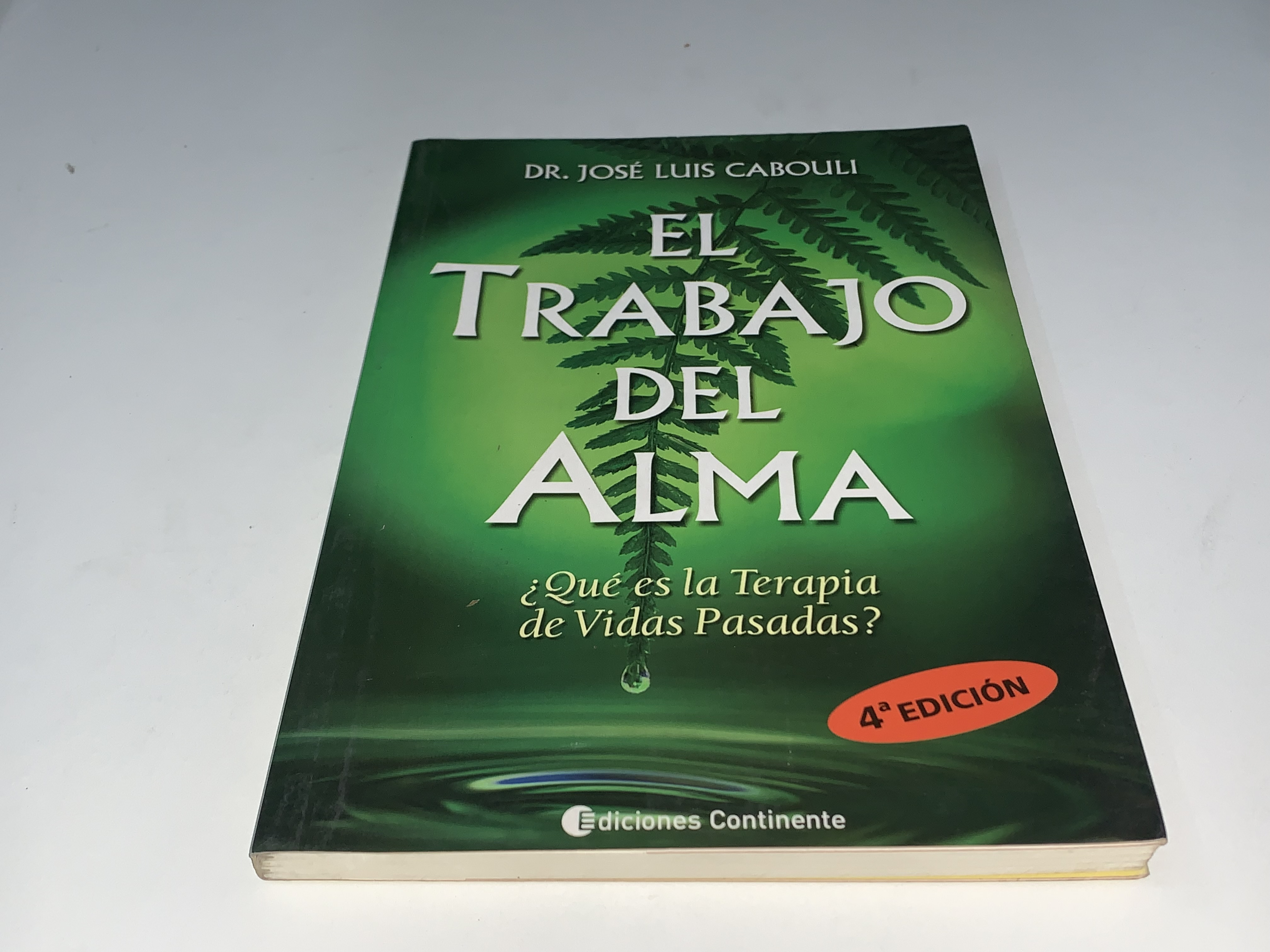 El Trabajo del Alma