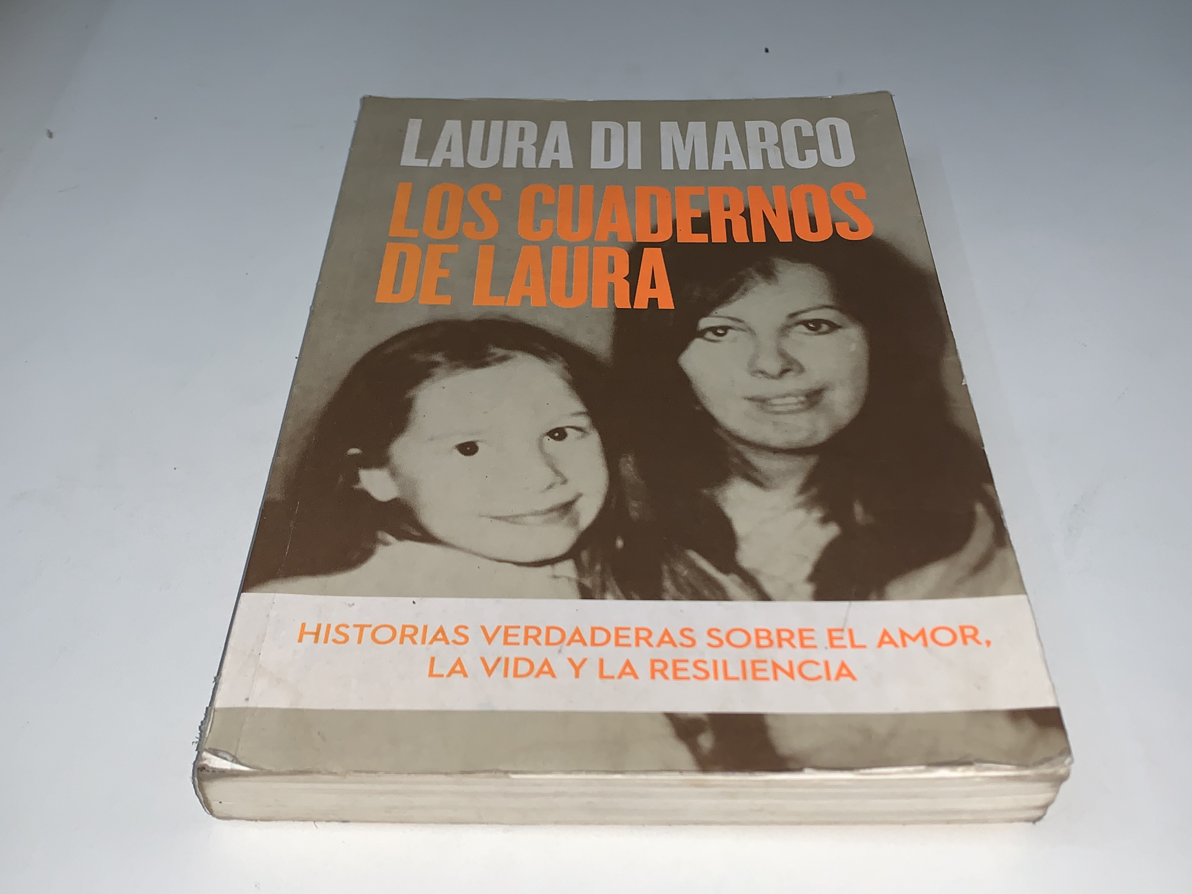Los cuadernos de Laura