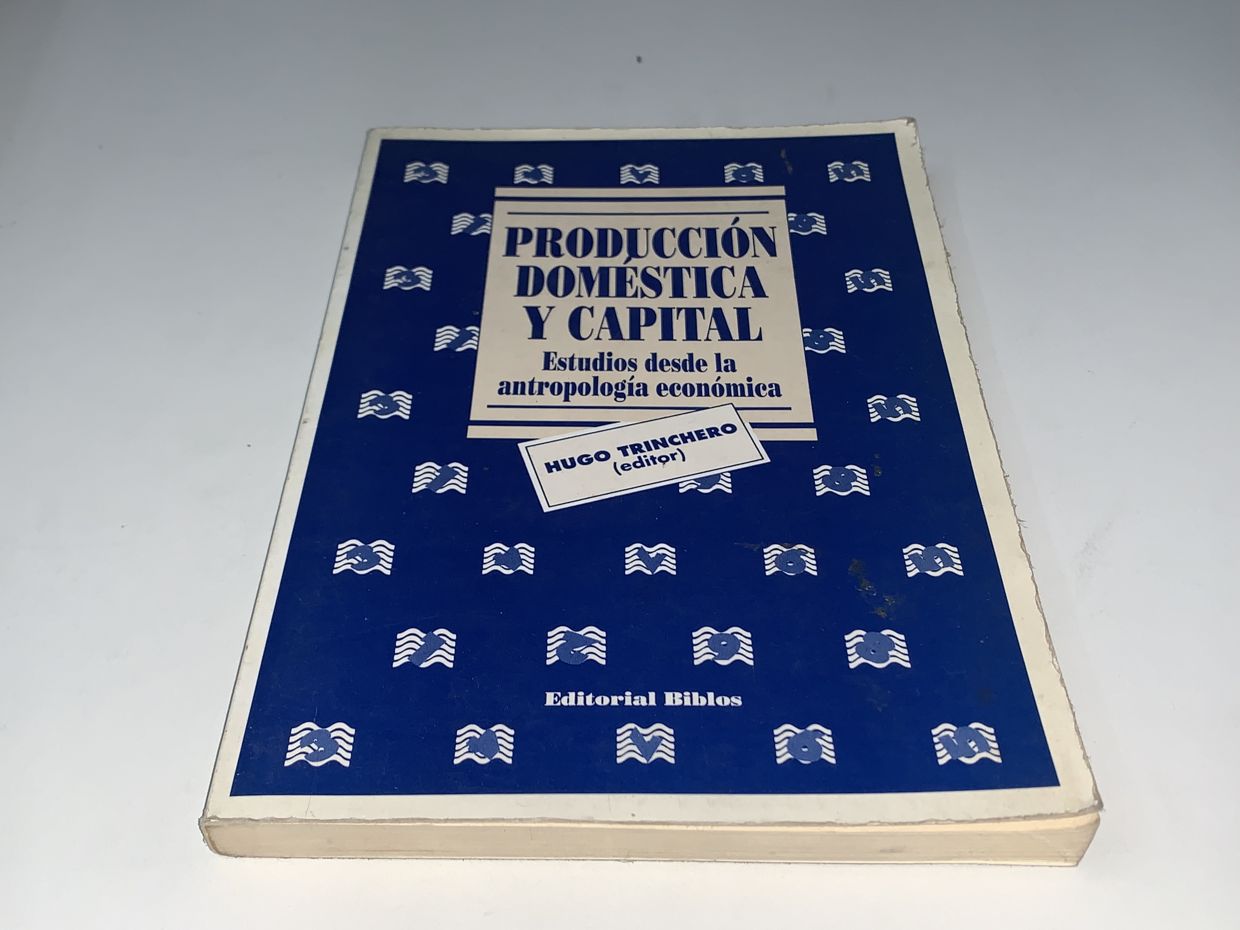 Producción doméstica y capital