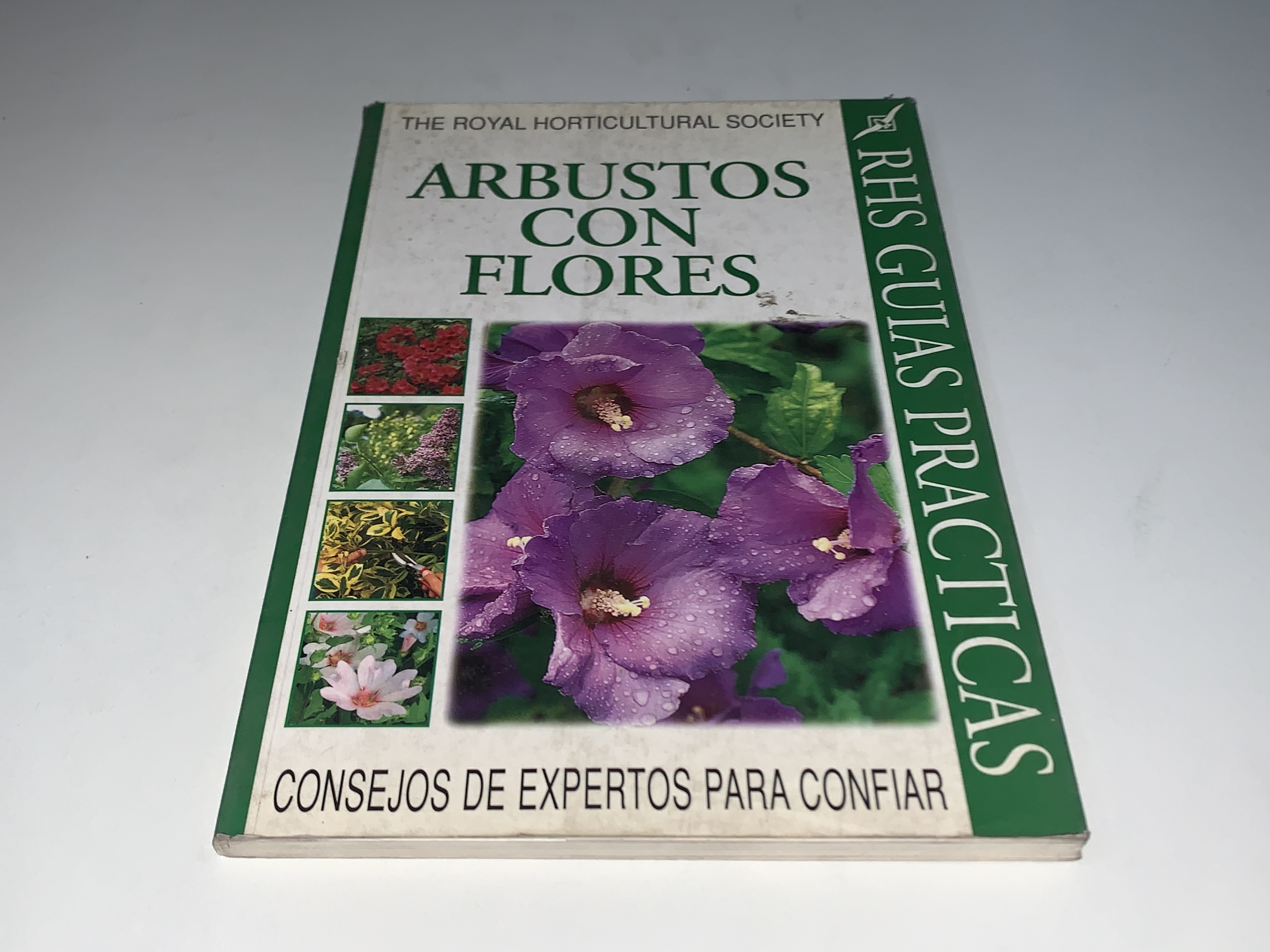 Arbustos con flores