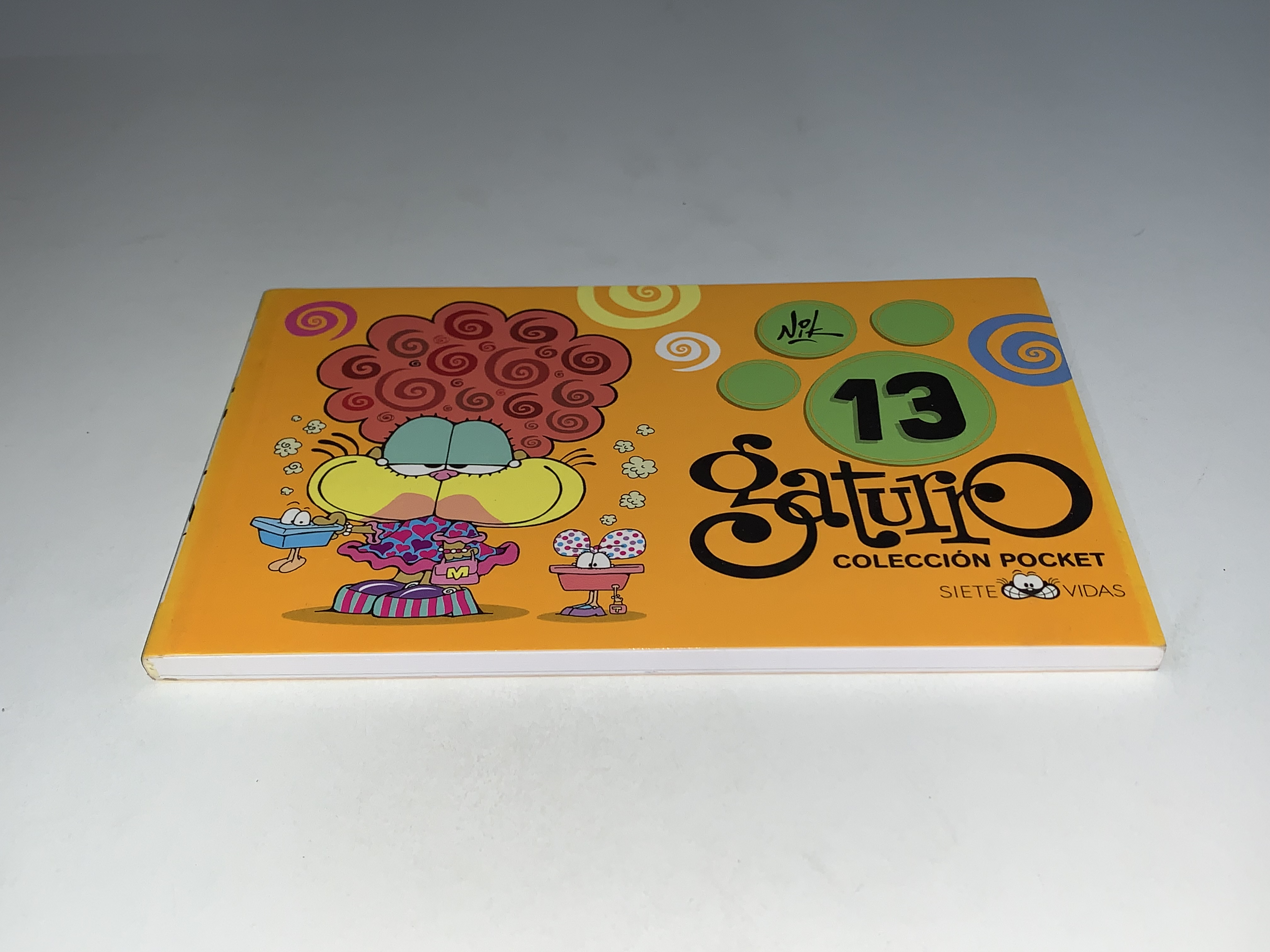 Gaturro 13