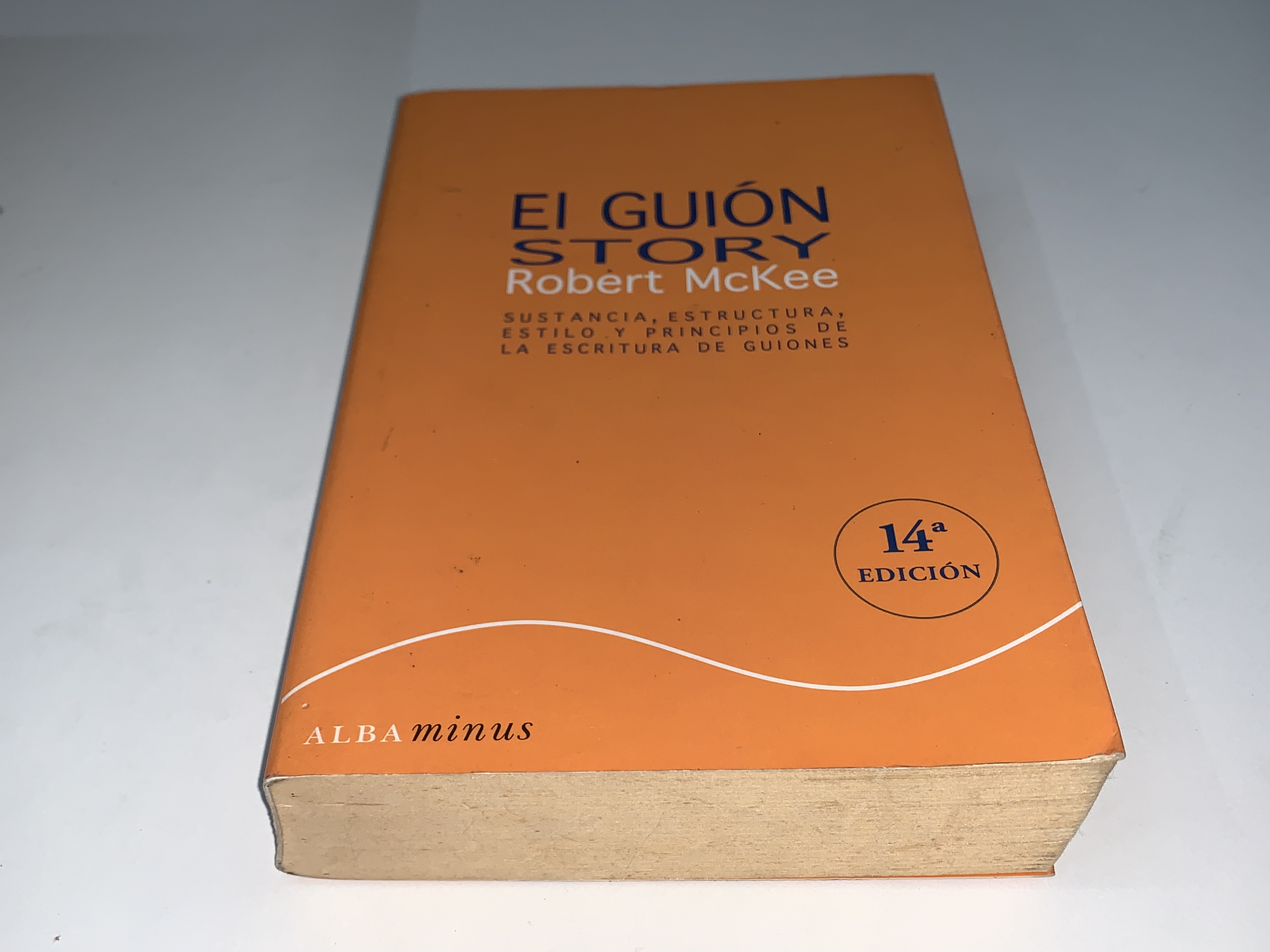El guión