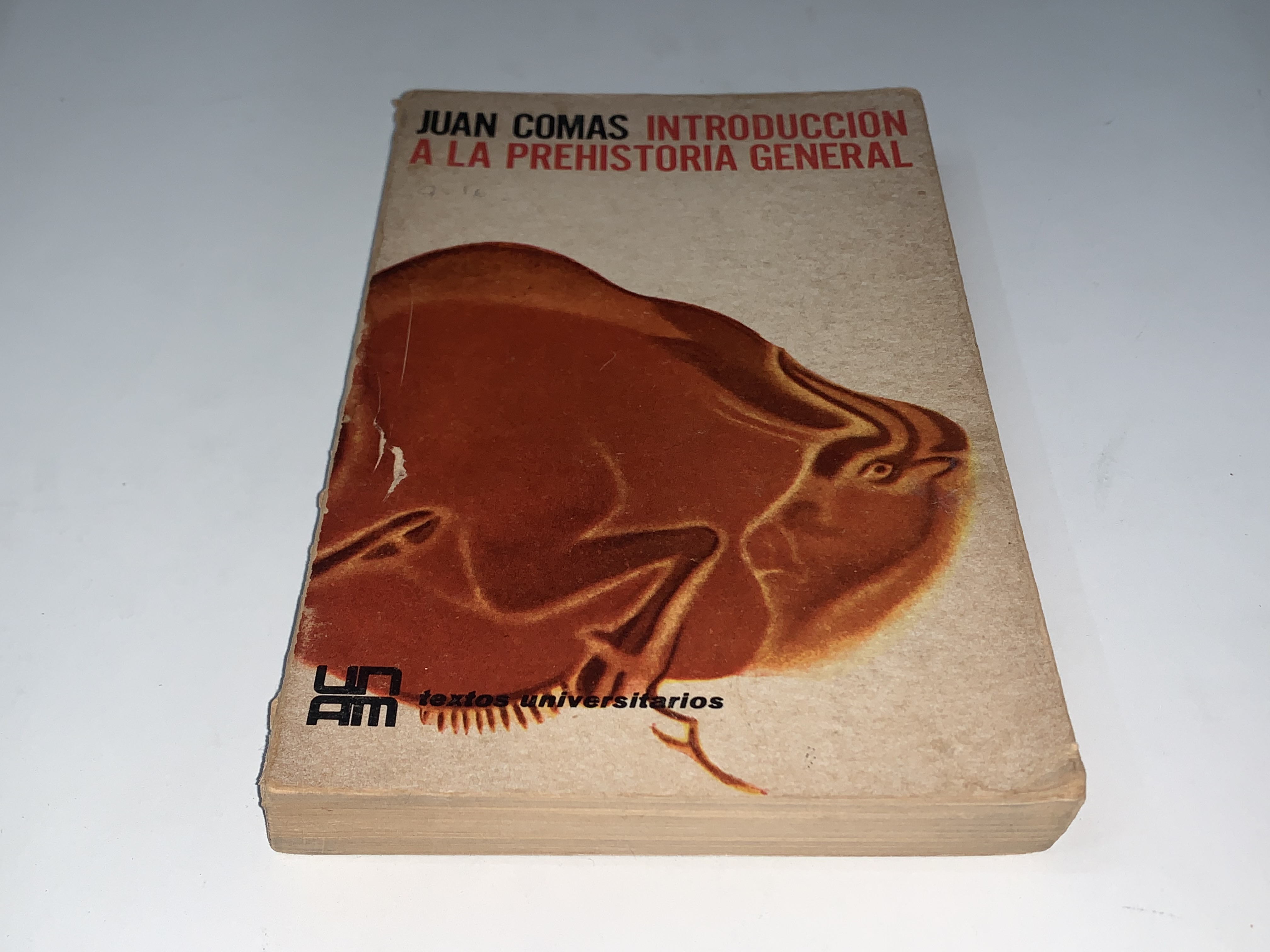Introducción a la prehistoria general