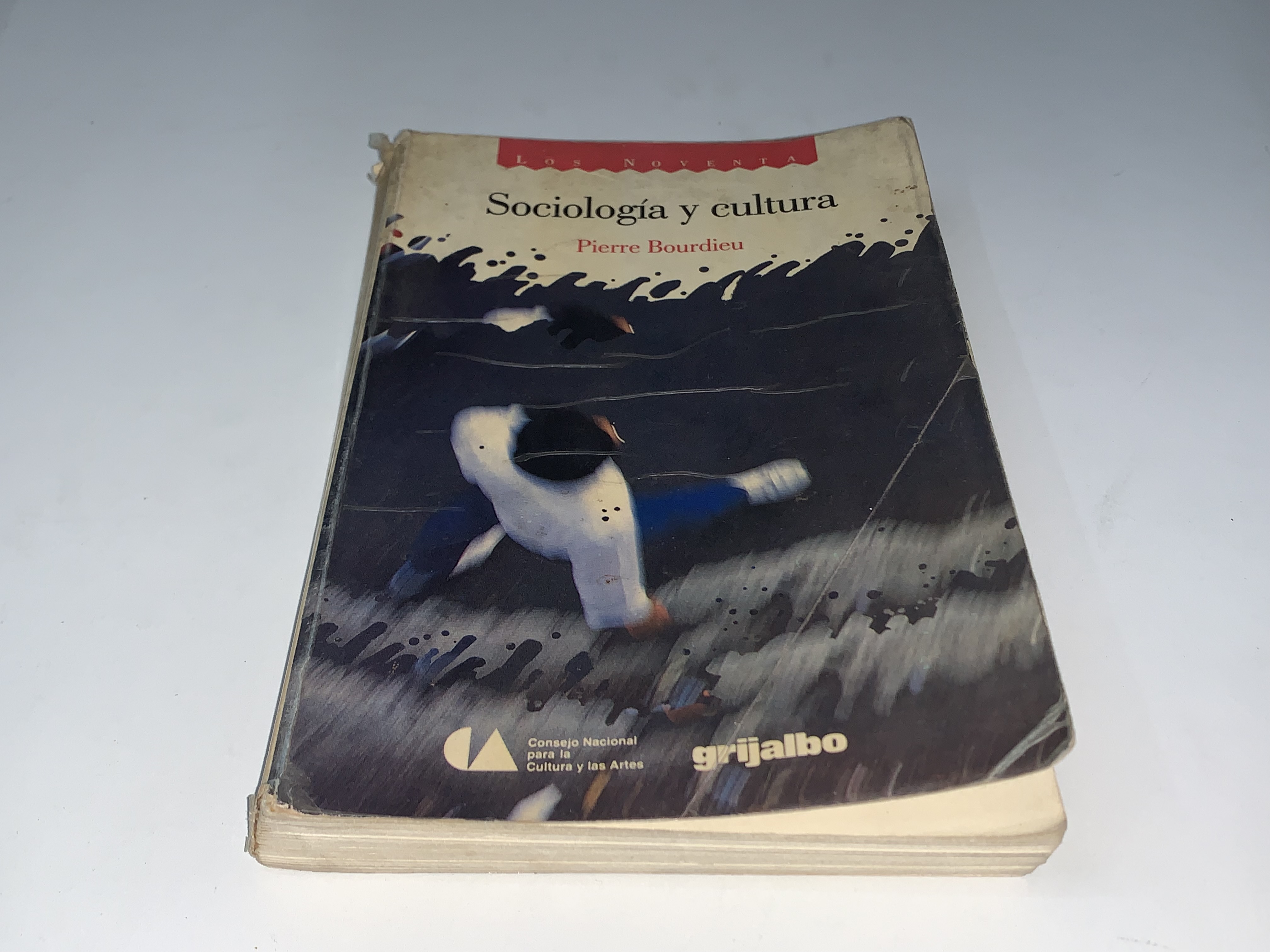 Sociología y cultura