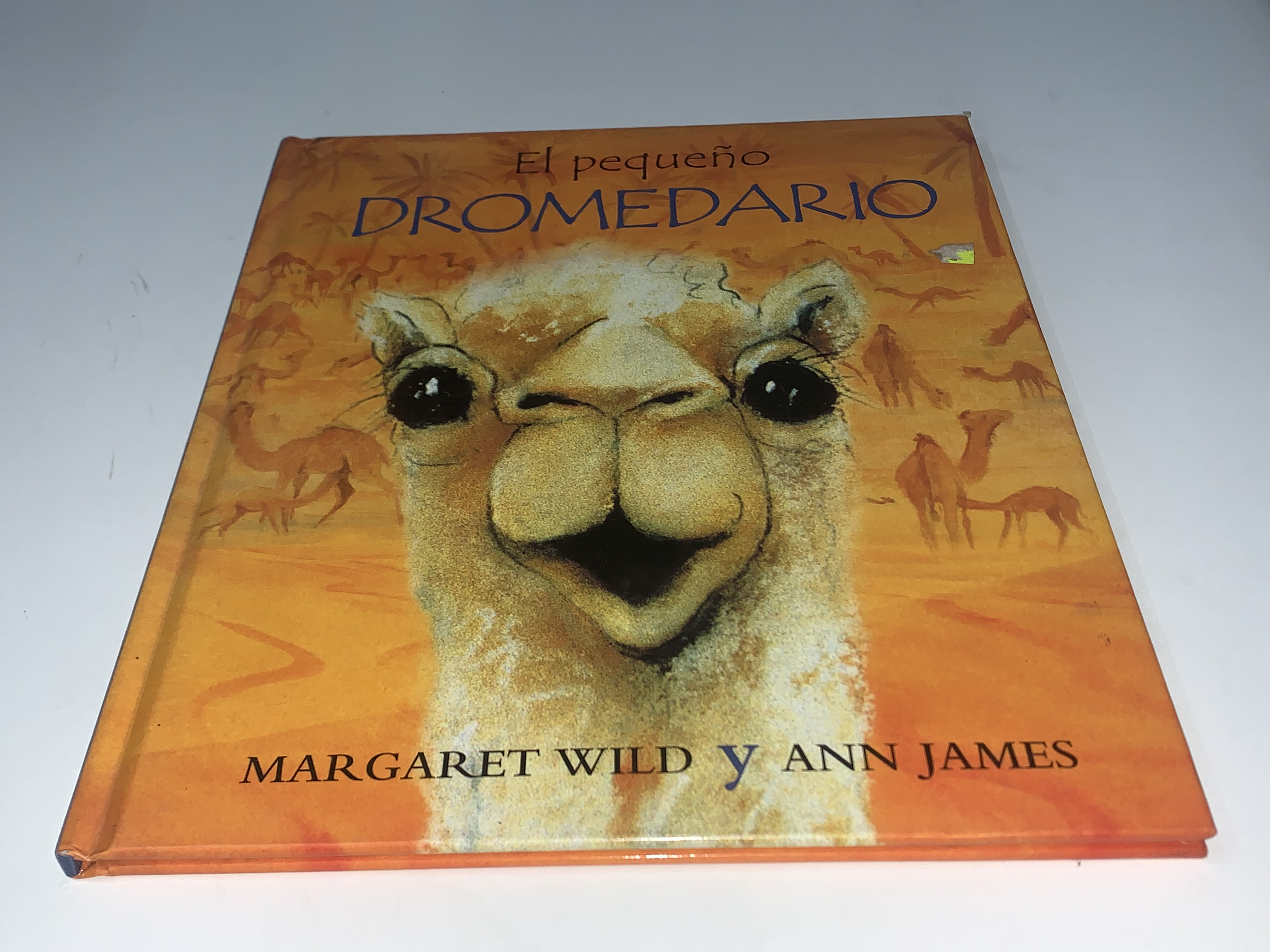 El pequeño dromedario