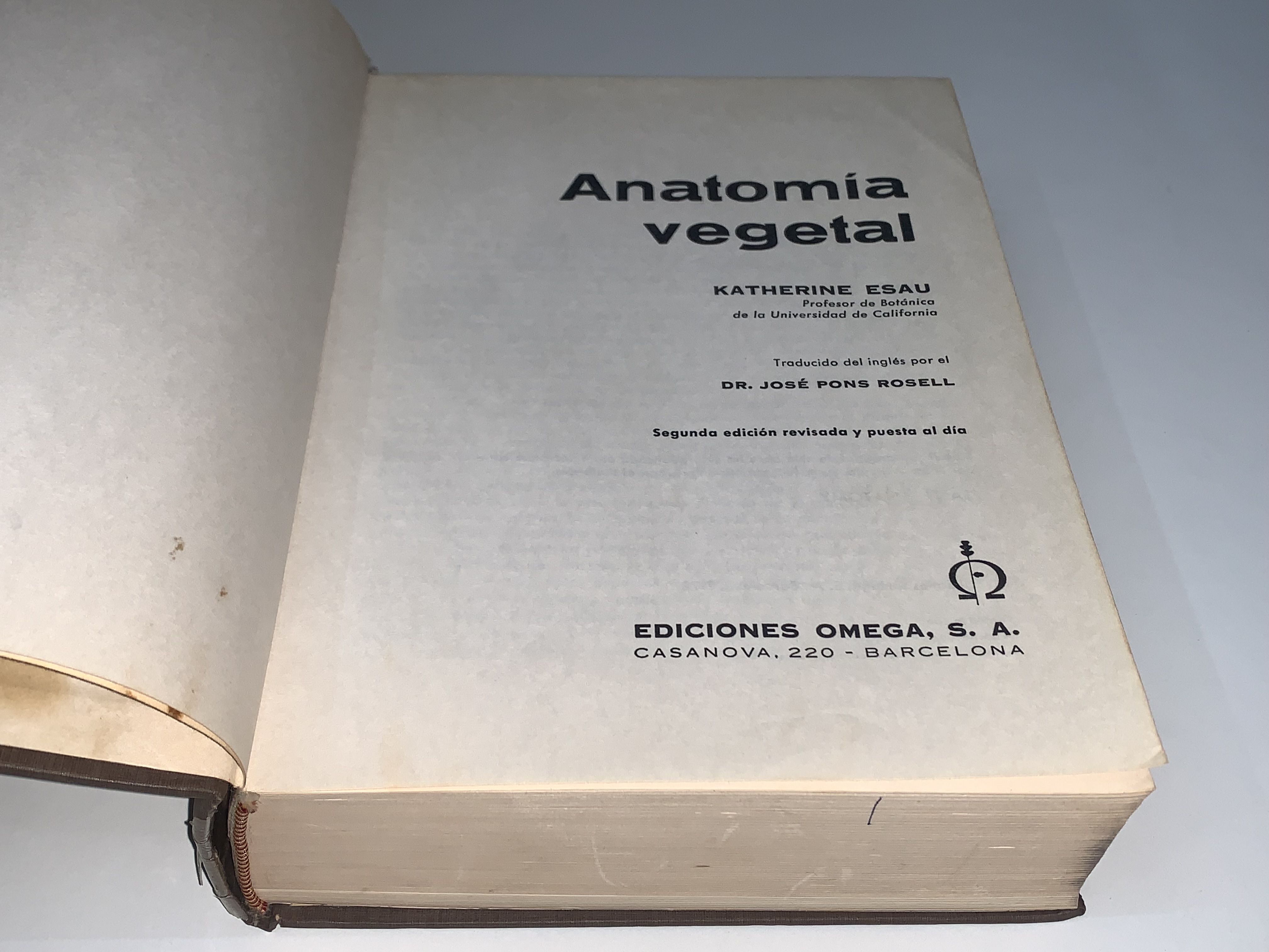 Anatomía vegetal