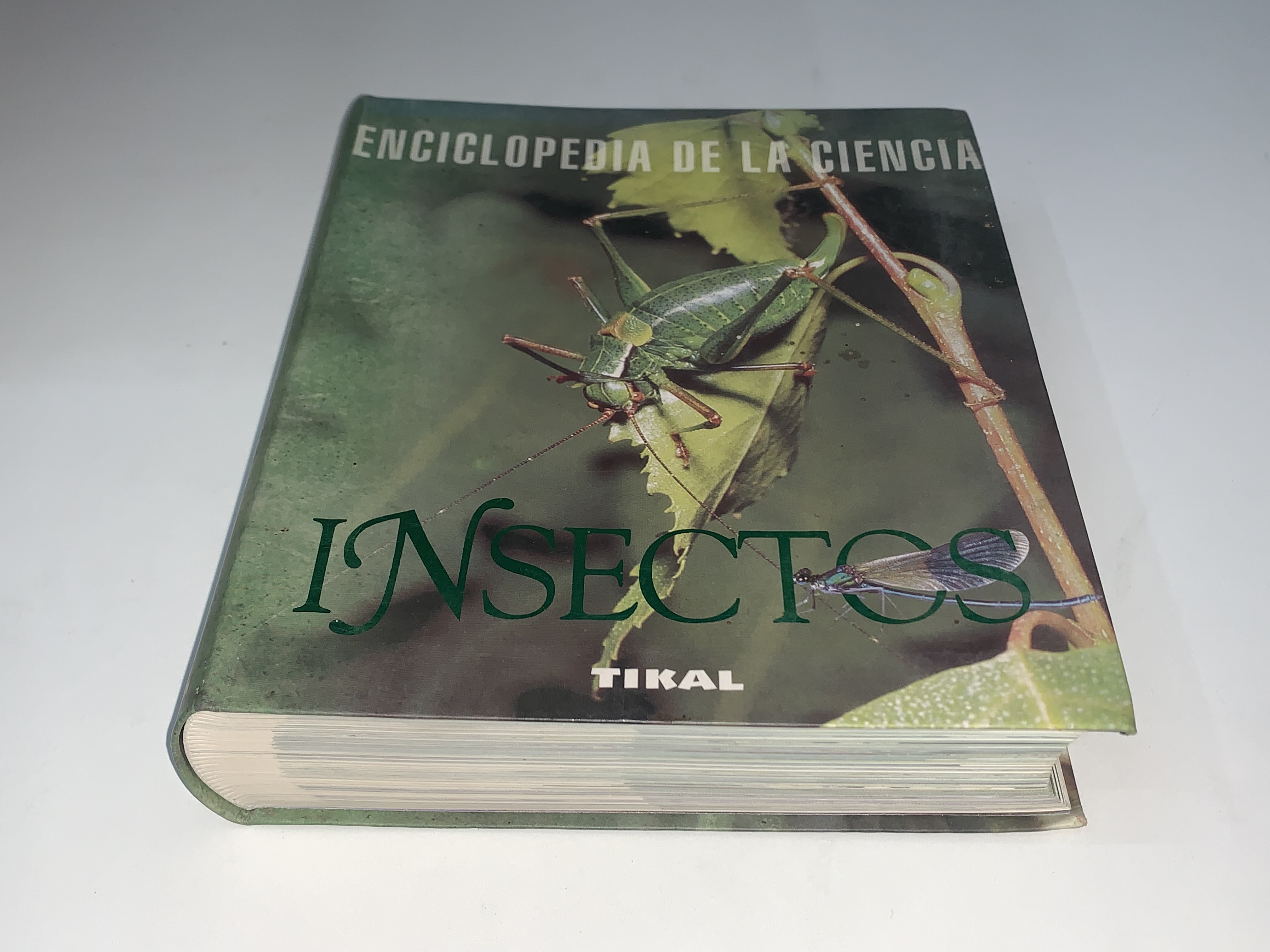 Insectos