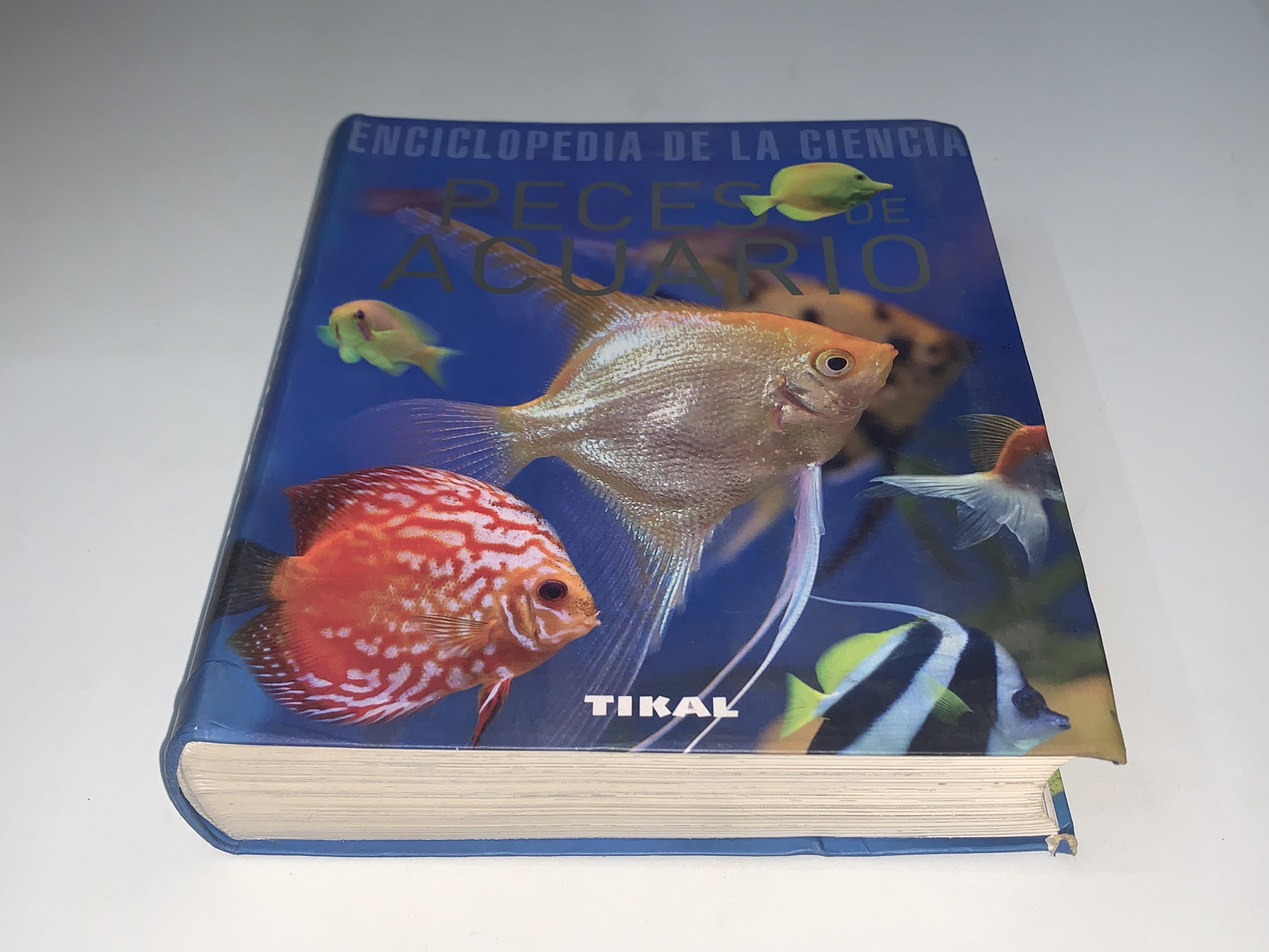 Peces de Acuario