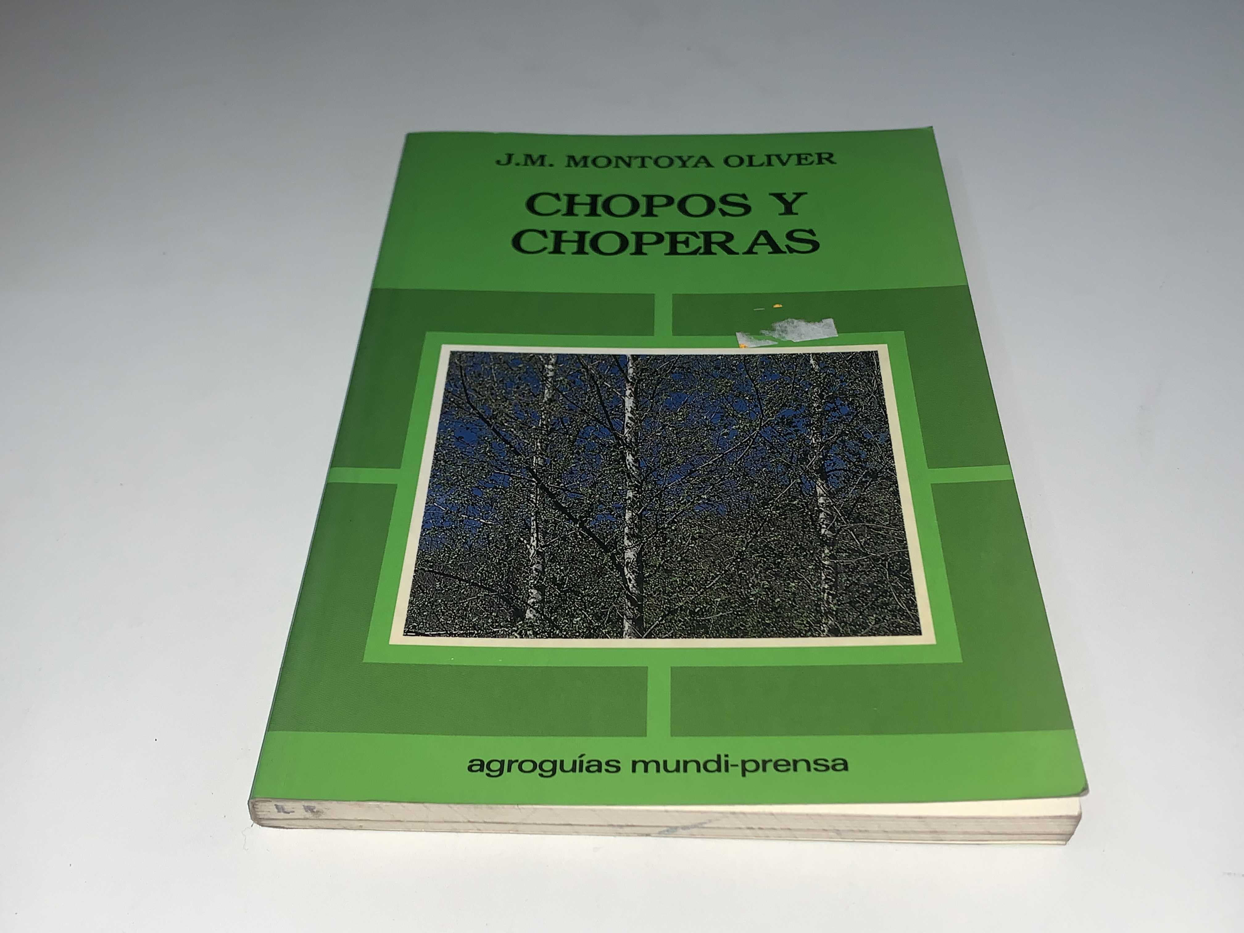 Chopos y choperas