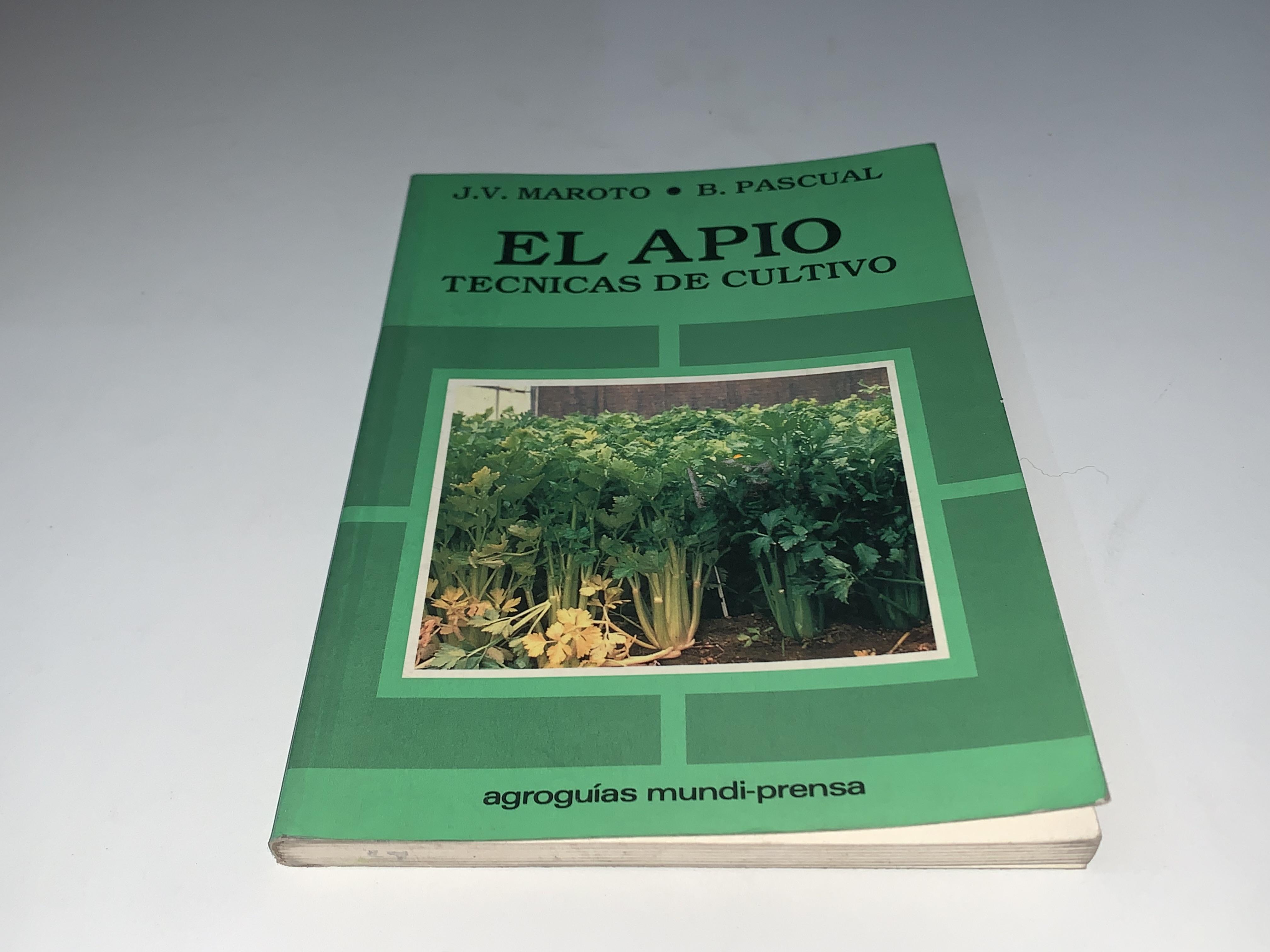 El Apio Técnicas de Cultivo