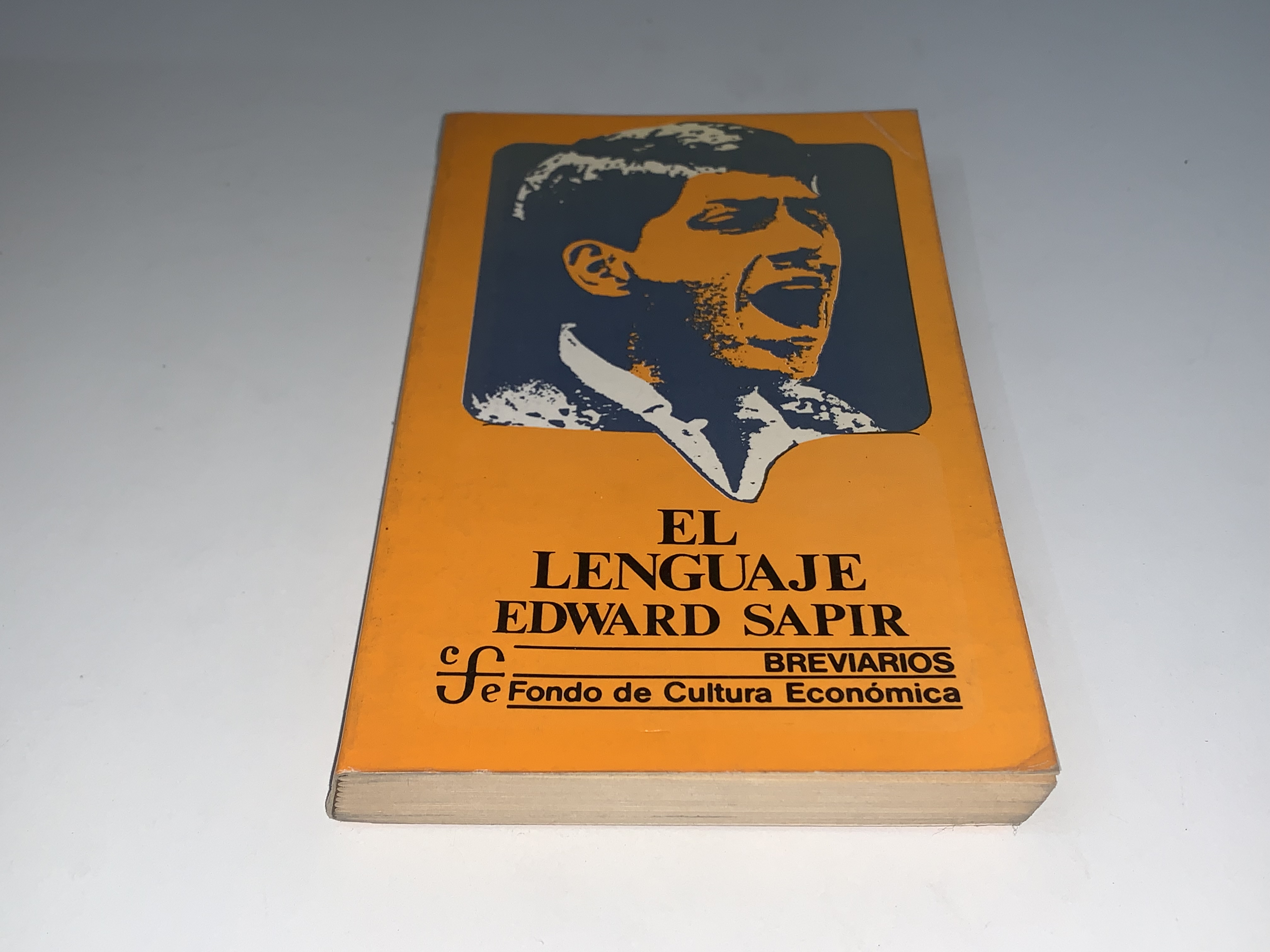 El lenguaje