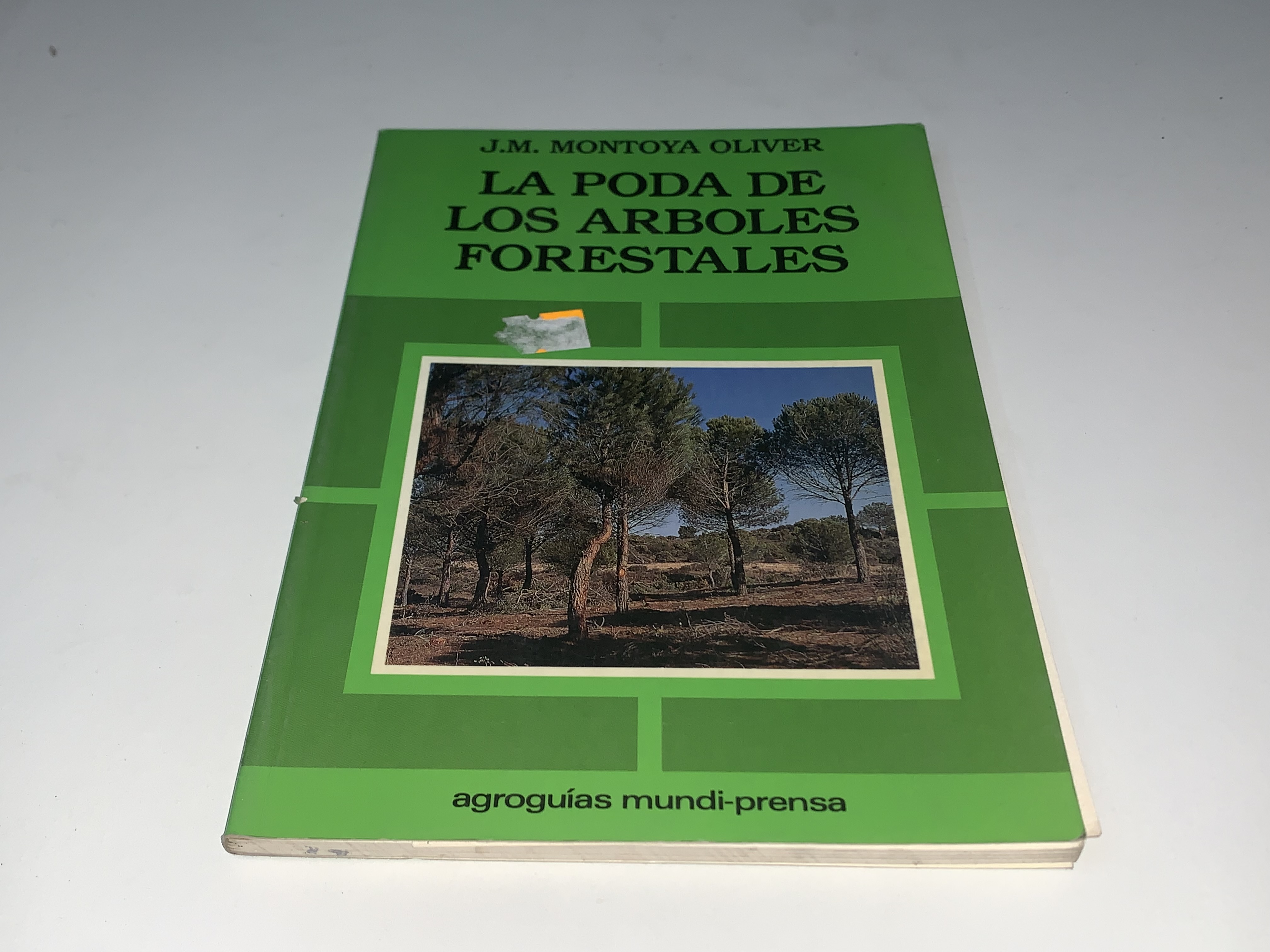 La poda de los árboles forestales