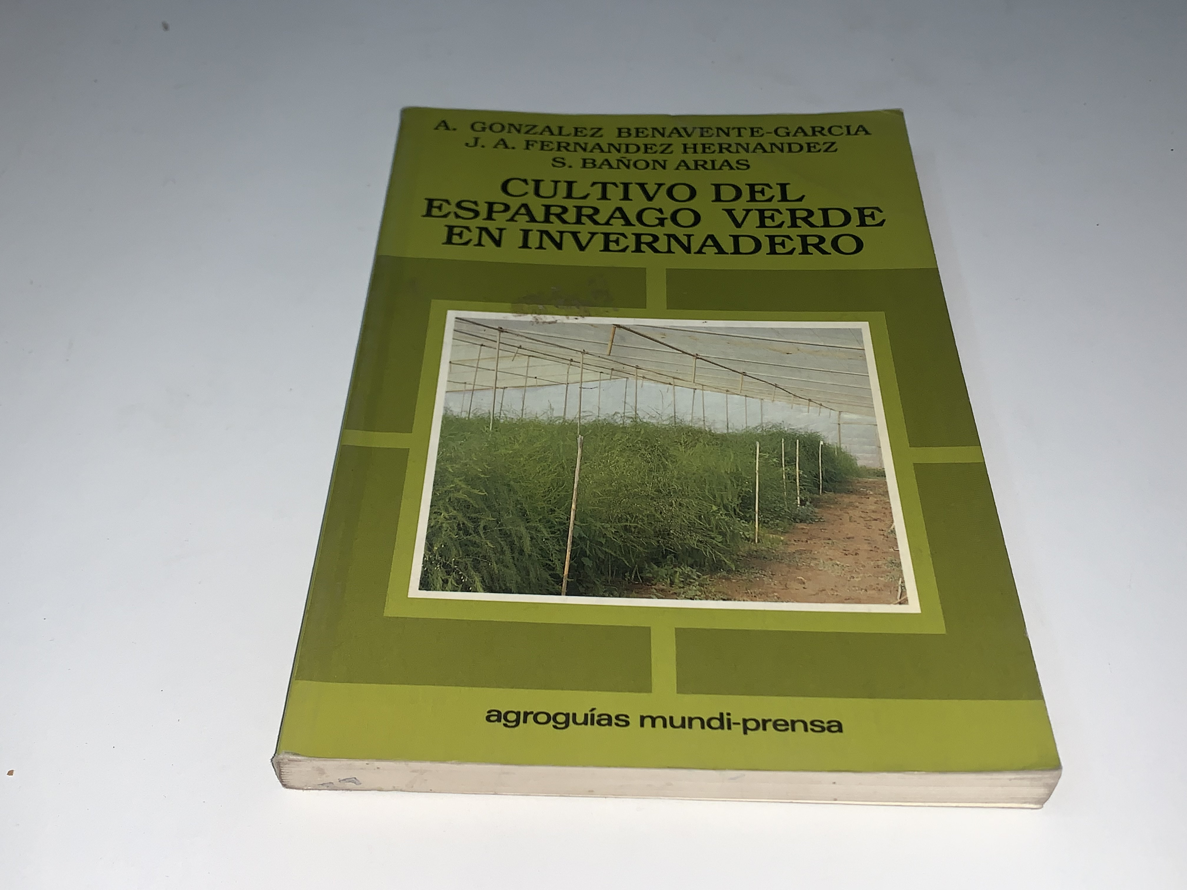 Cultivo del espárrago verde en invernadero