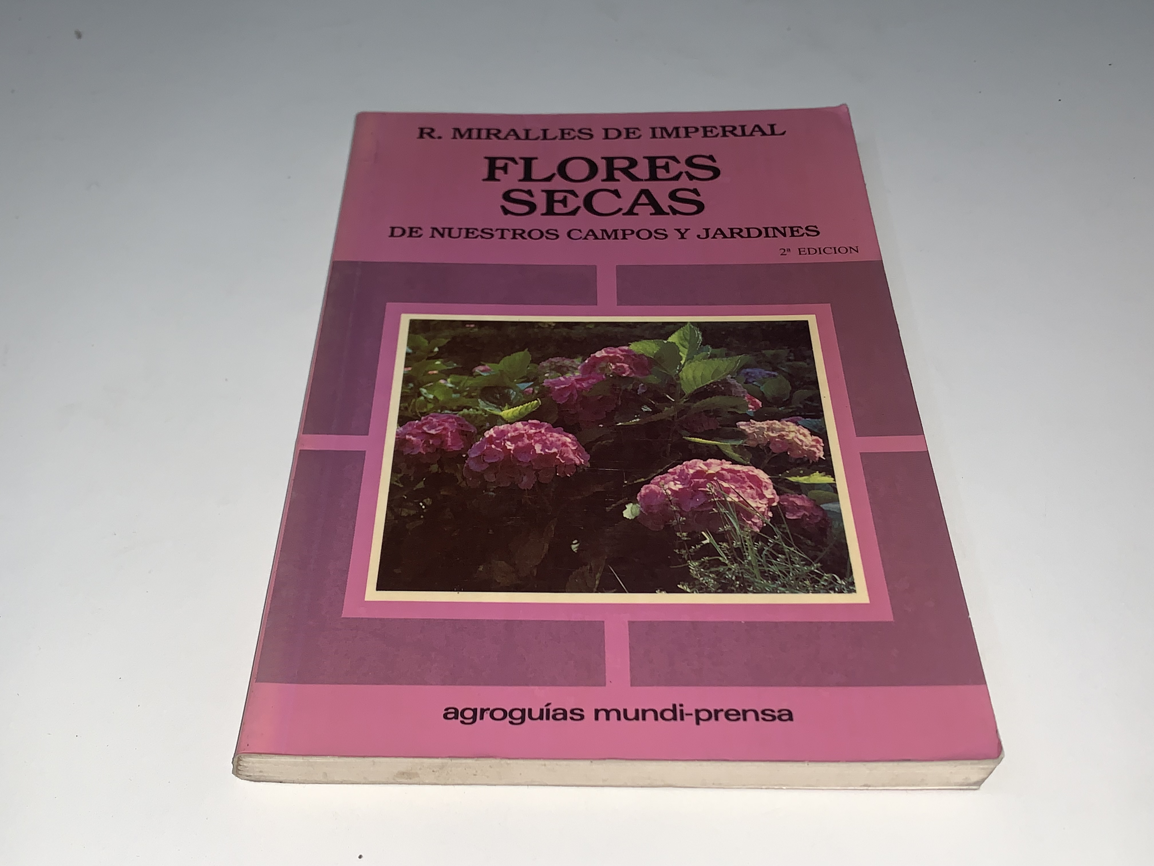 Flores secas de nuestros campos y jardines