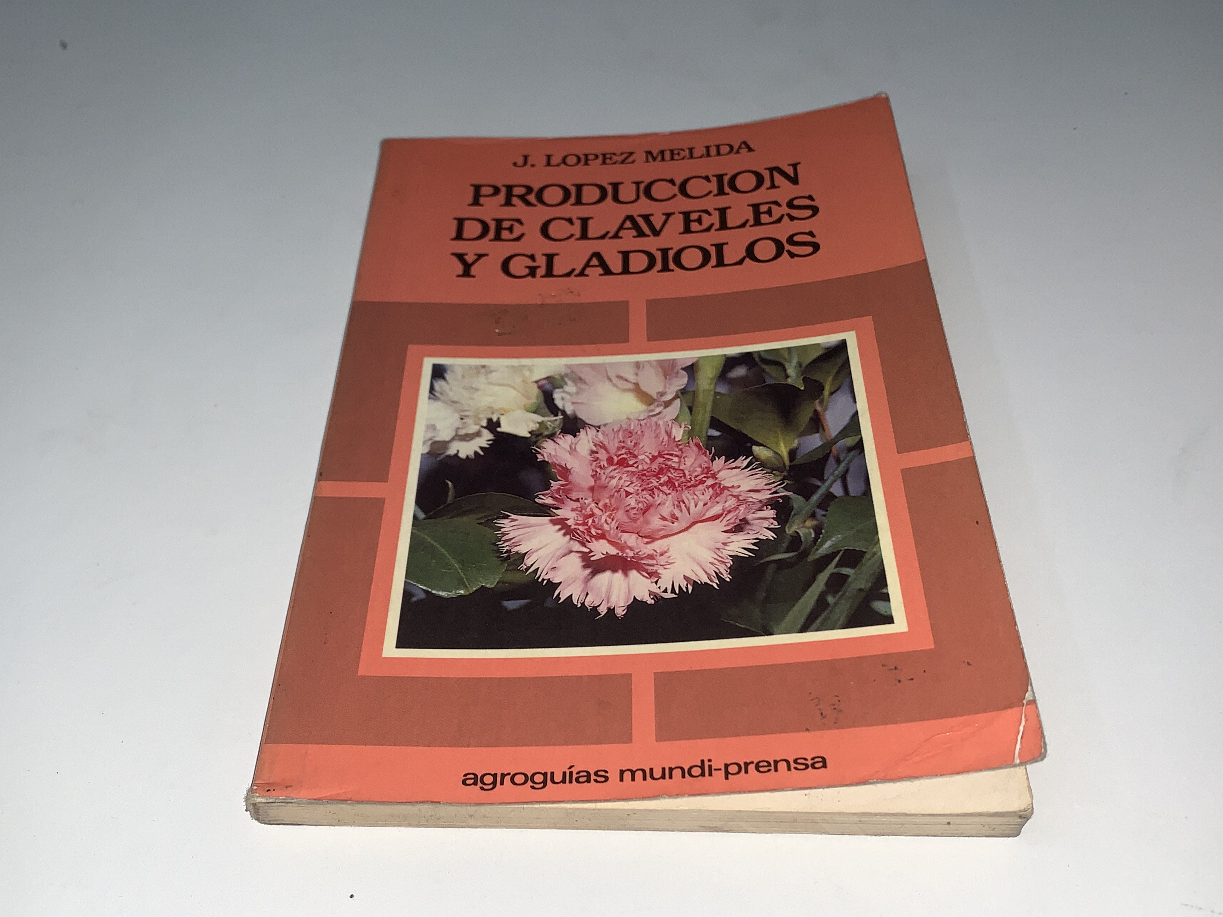 Producción de Claveles y Gladiolos