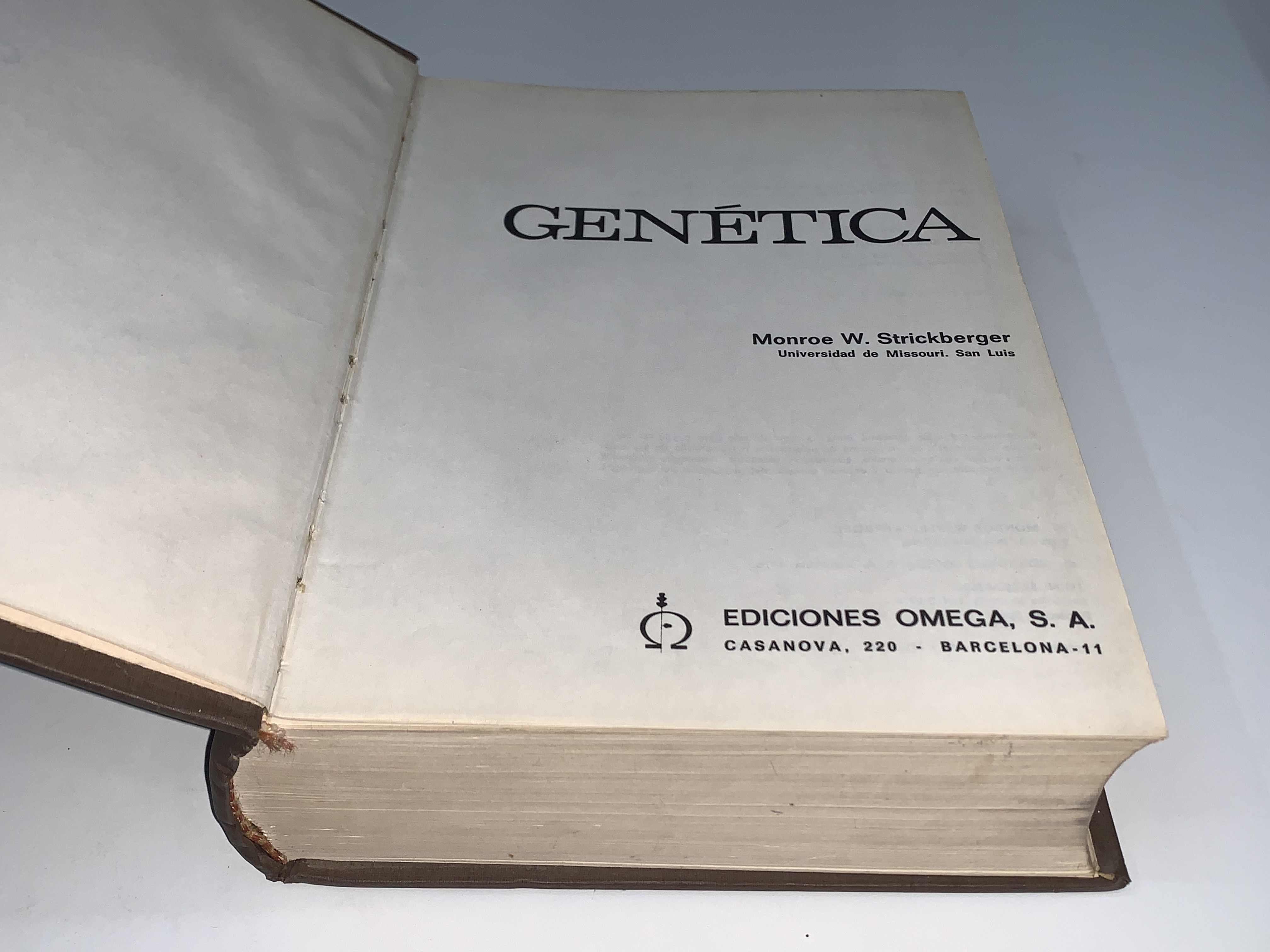 Genética