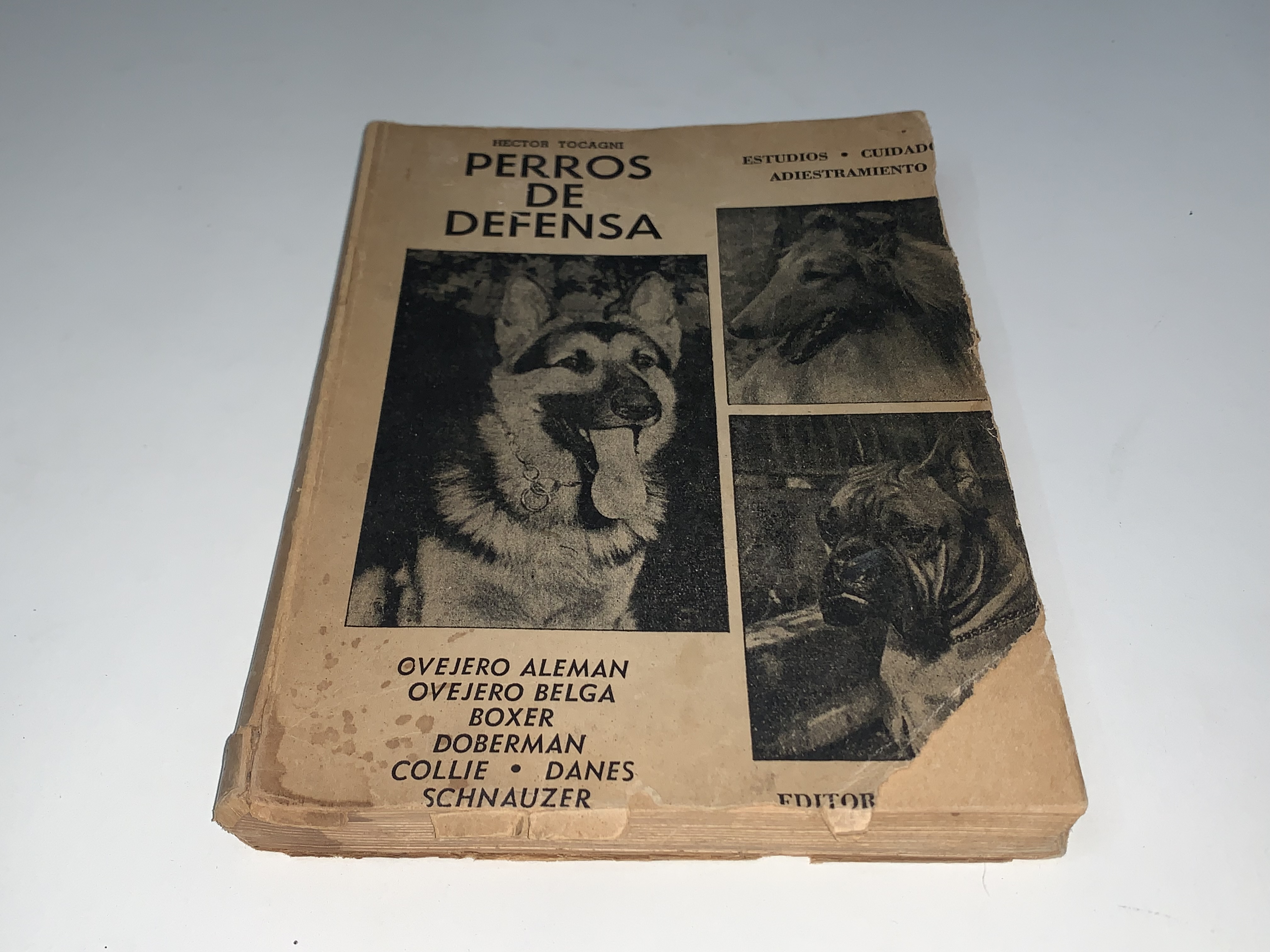 Perros de defensa