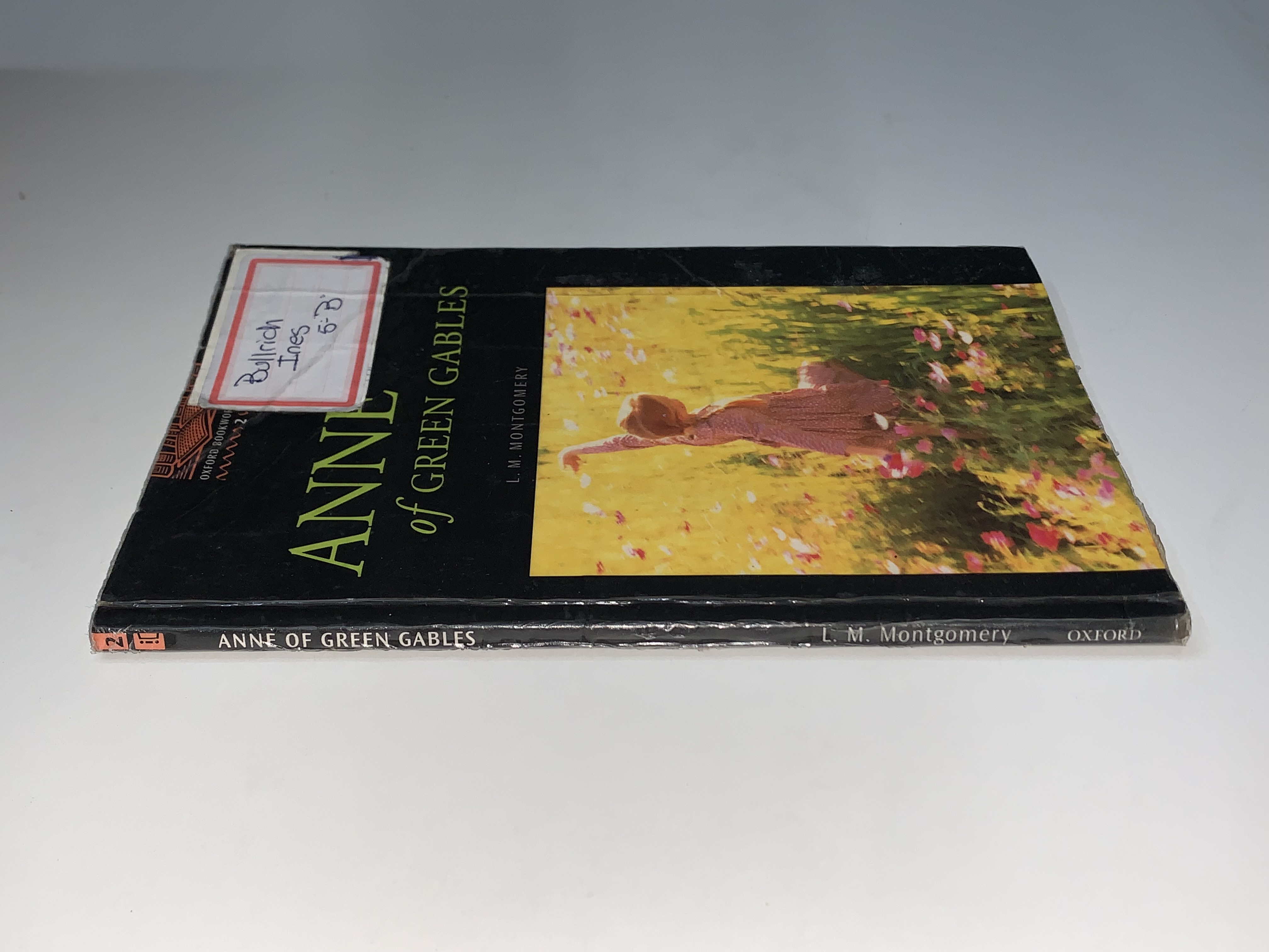 Manual del enfermo reumático