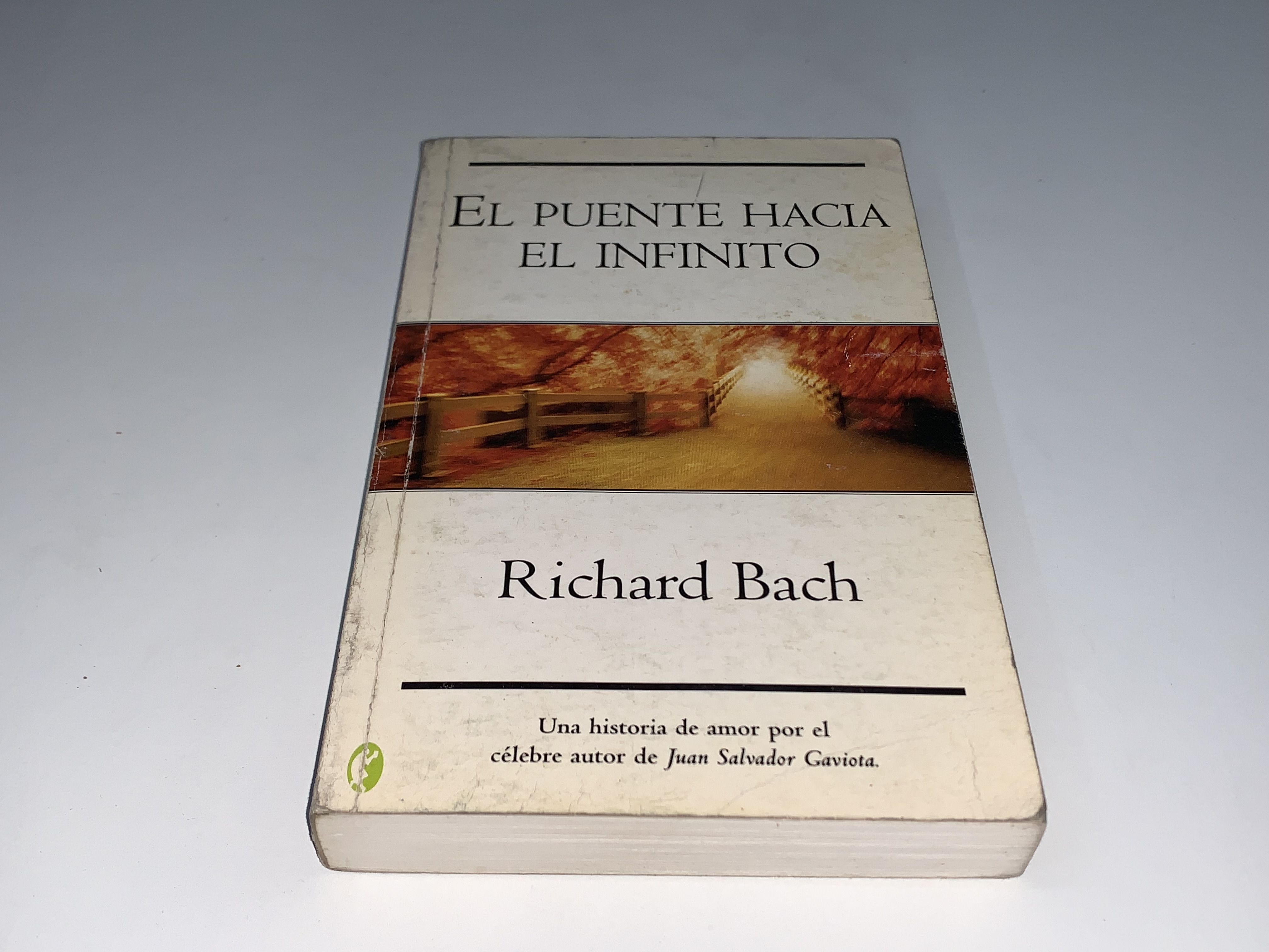 El puente hacia el infinito