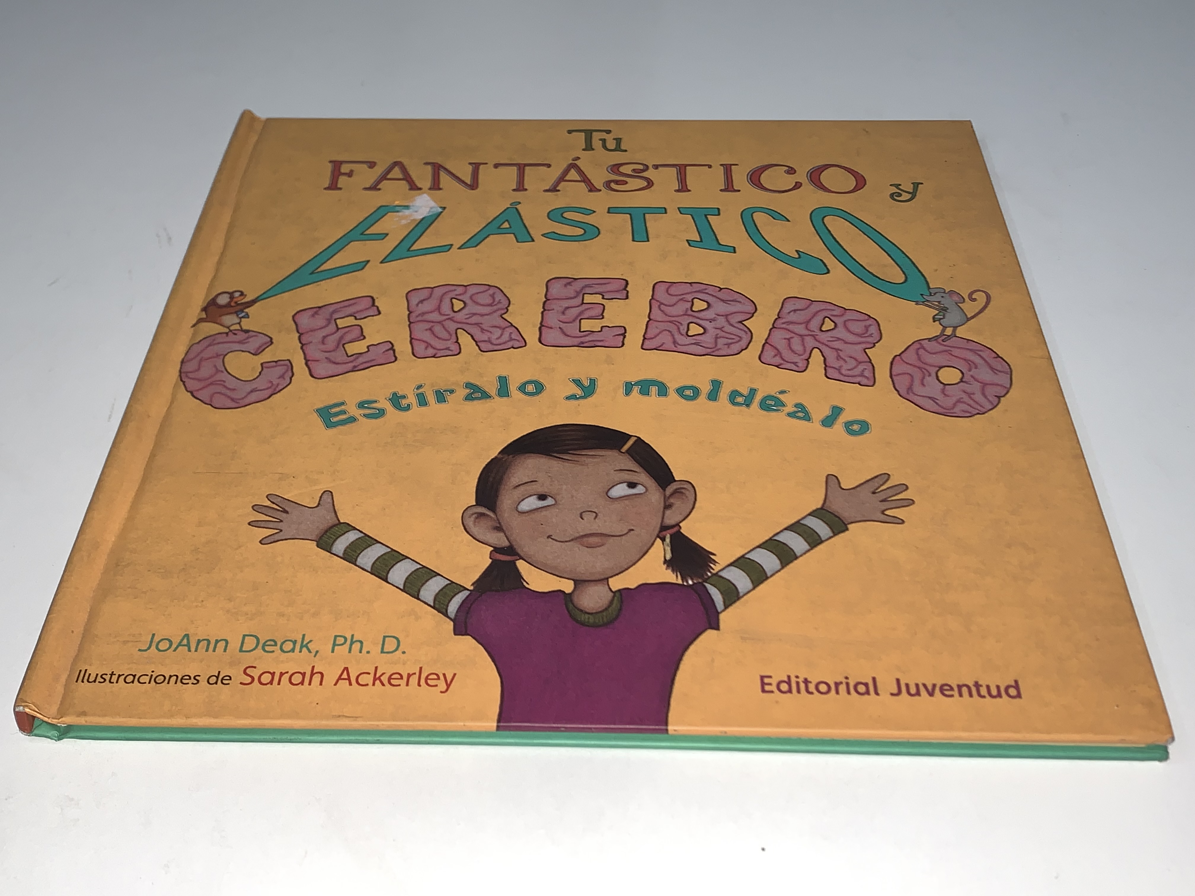 Tu fantástico y elástico cerebro