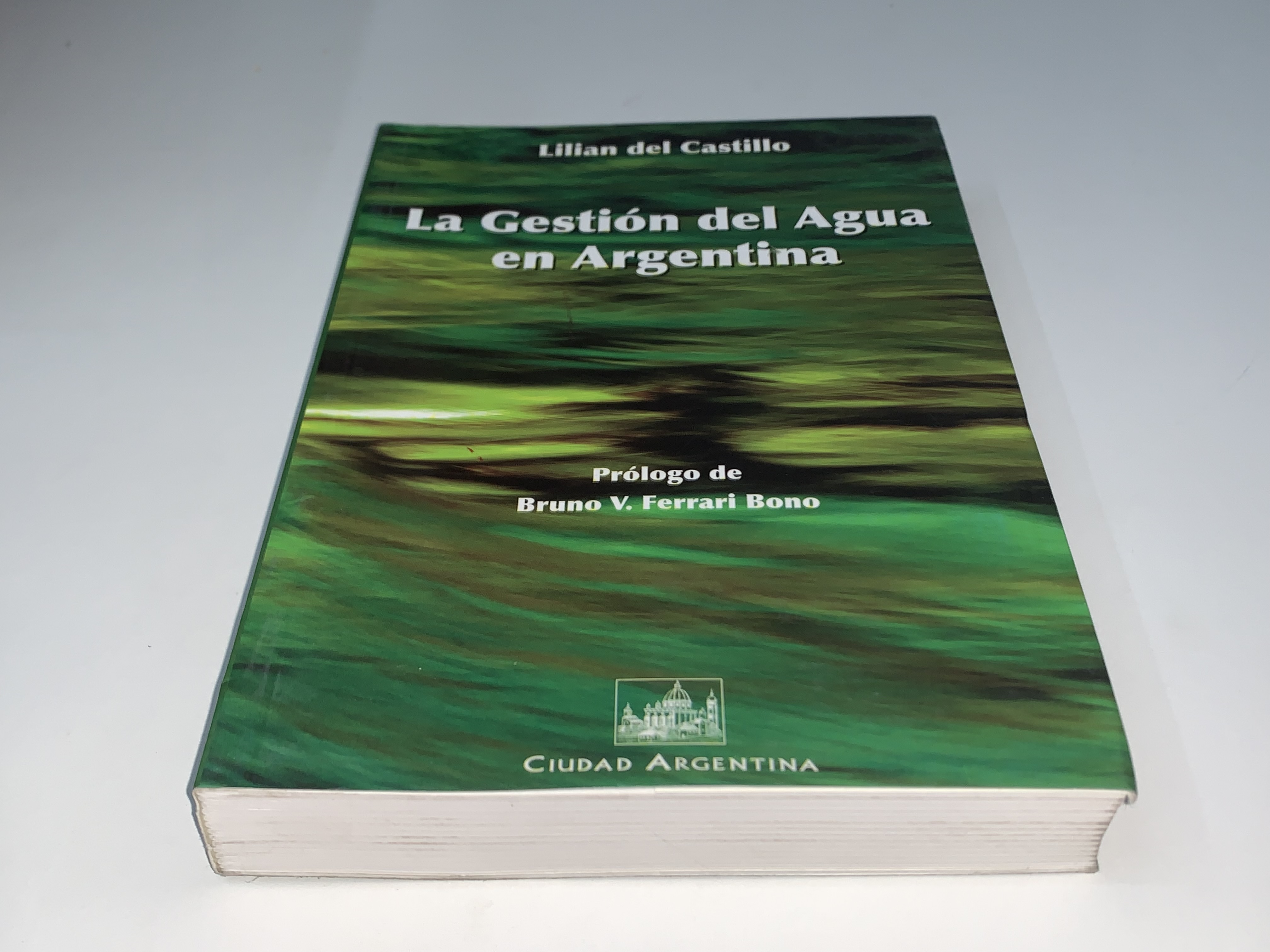 La Gestión del Agua en Argentina