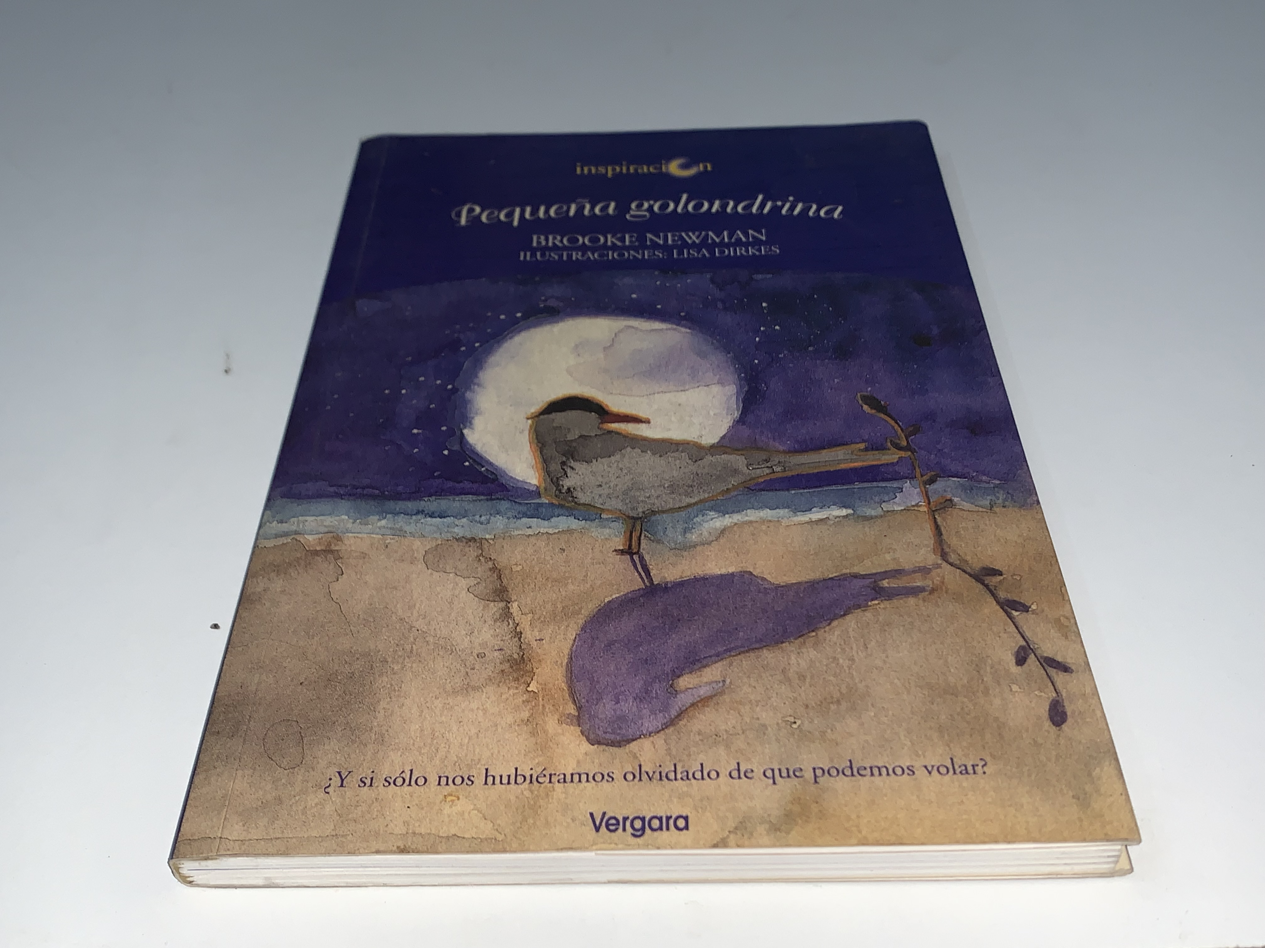 Pequeña golondrina
