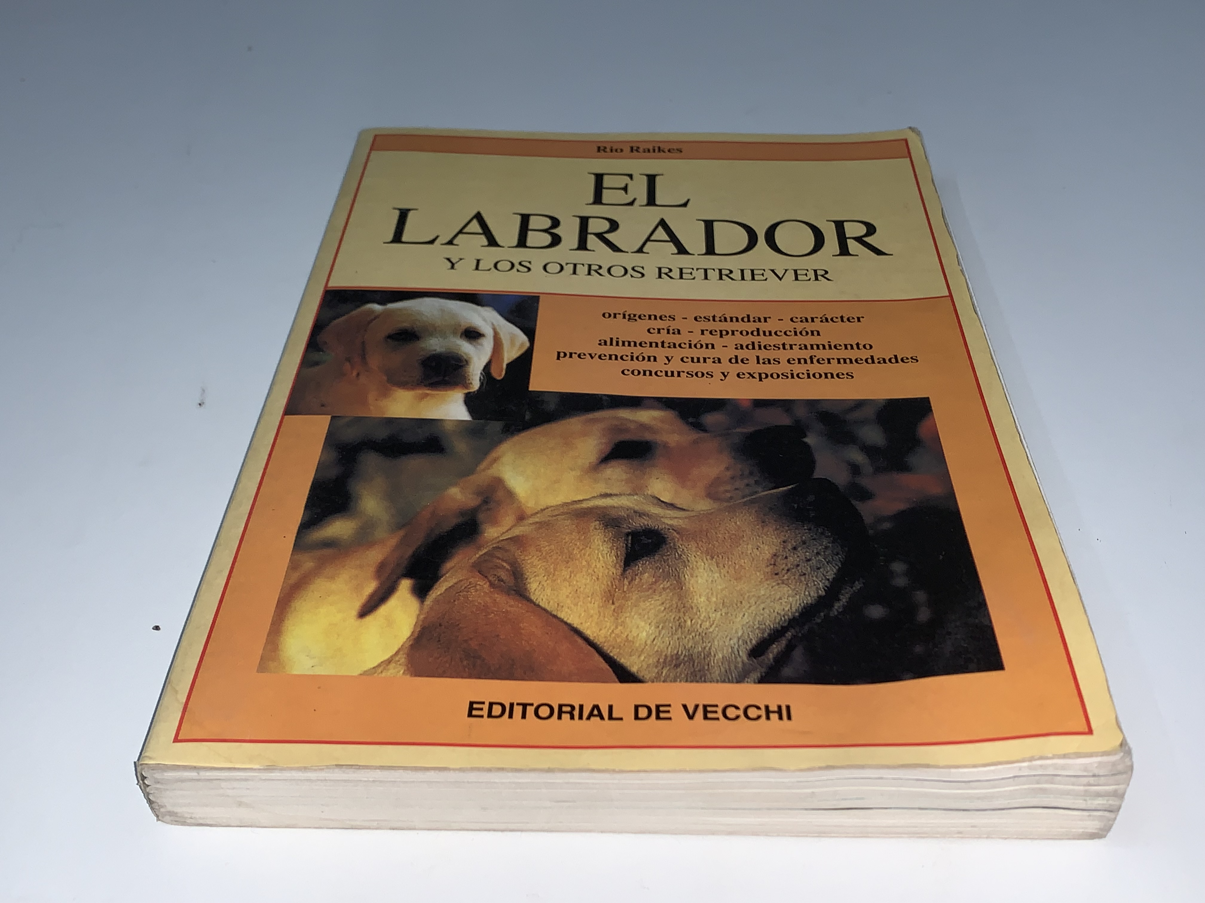 El labrador y los otros retriever