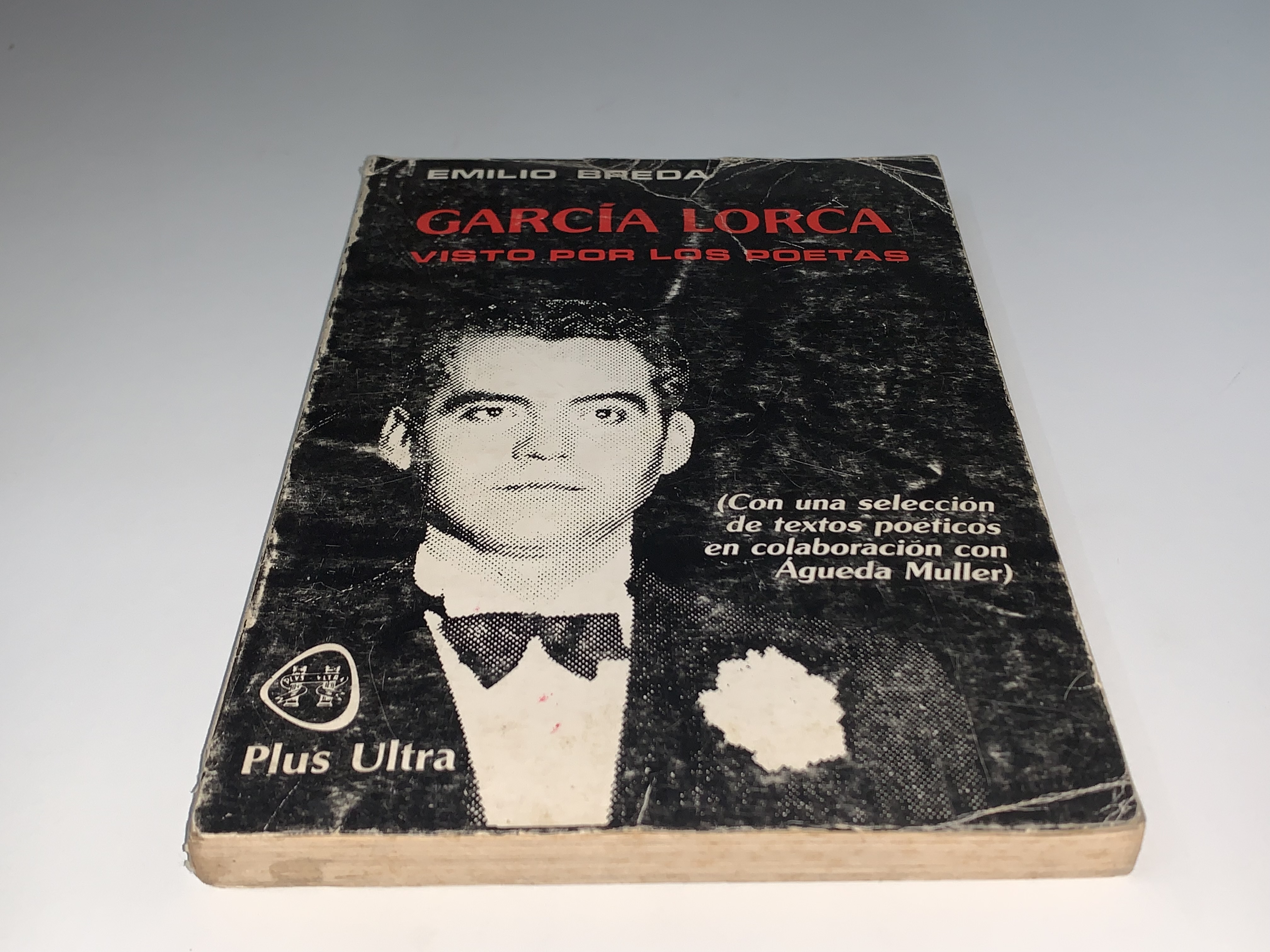 García Lorca visto por los poetas