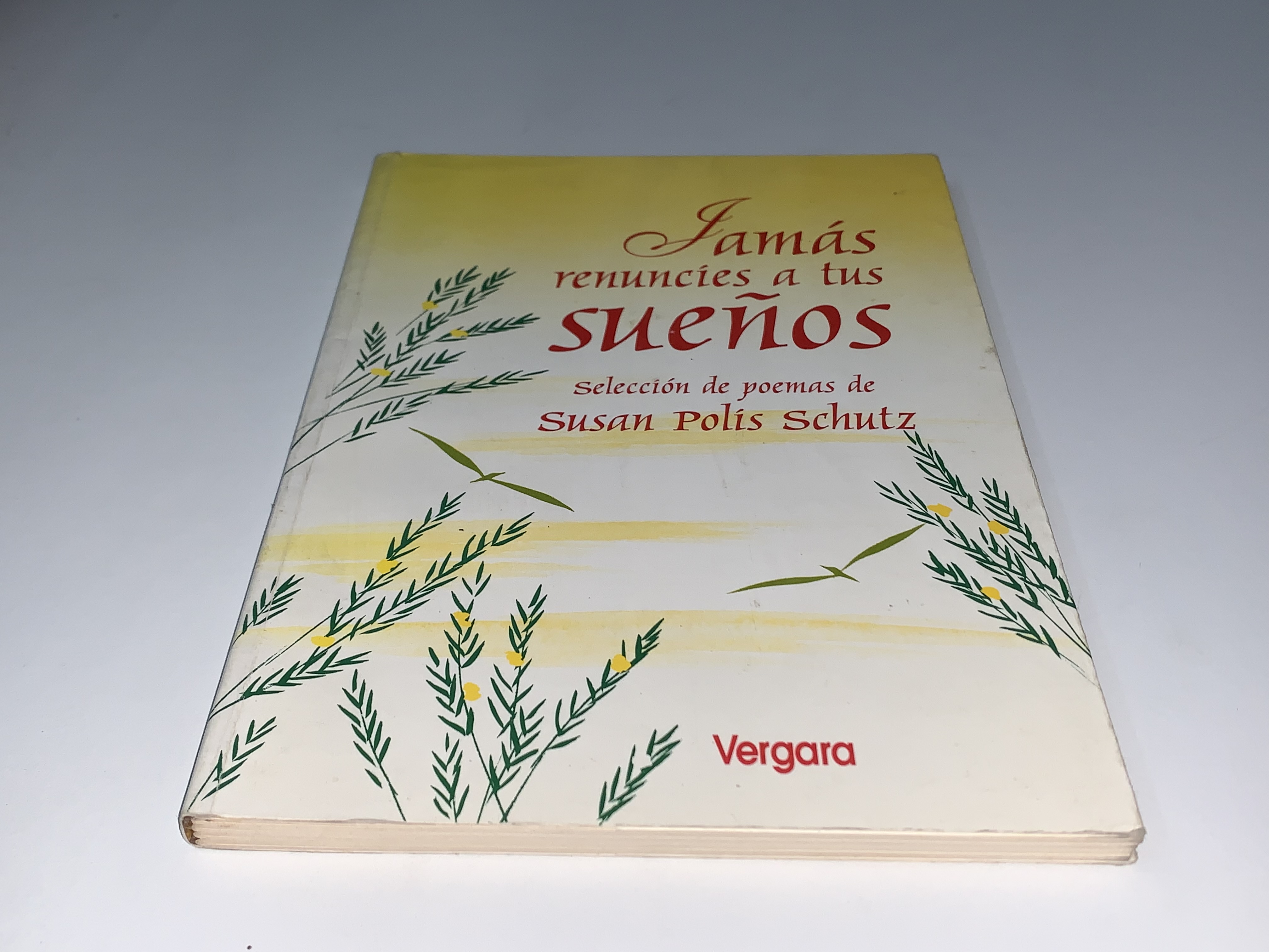Jamás renuncies a tus sueños