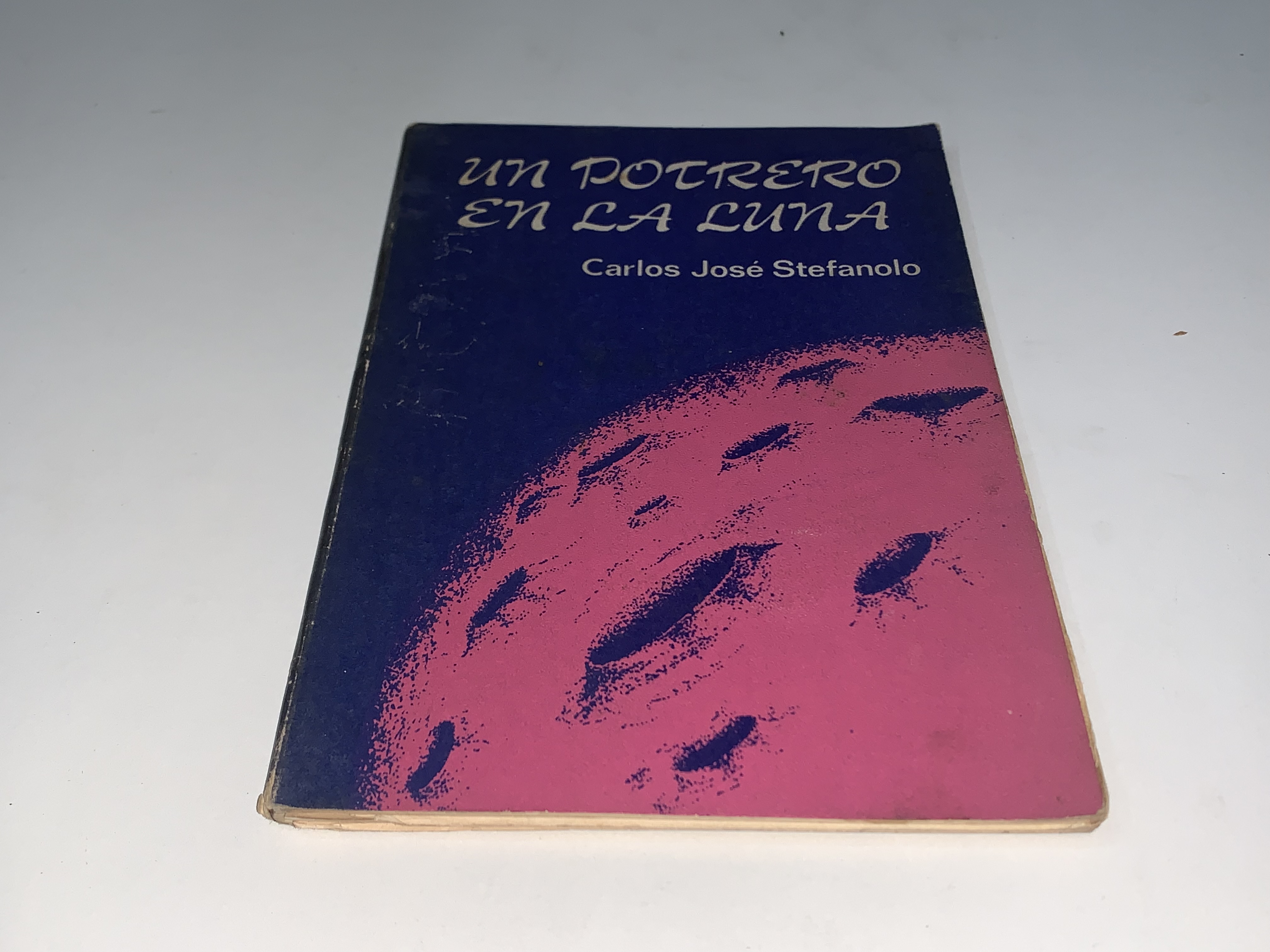 Un potrero en la luna