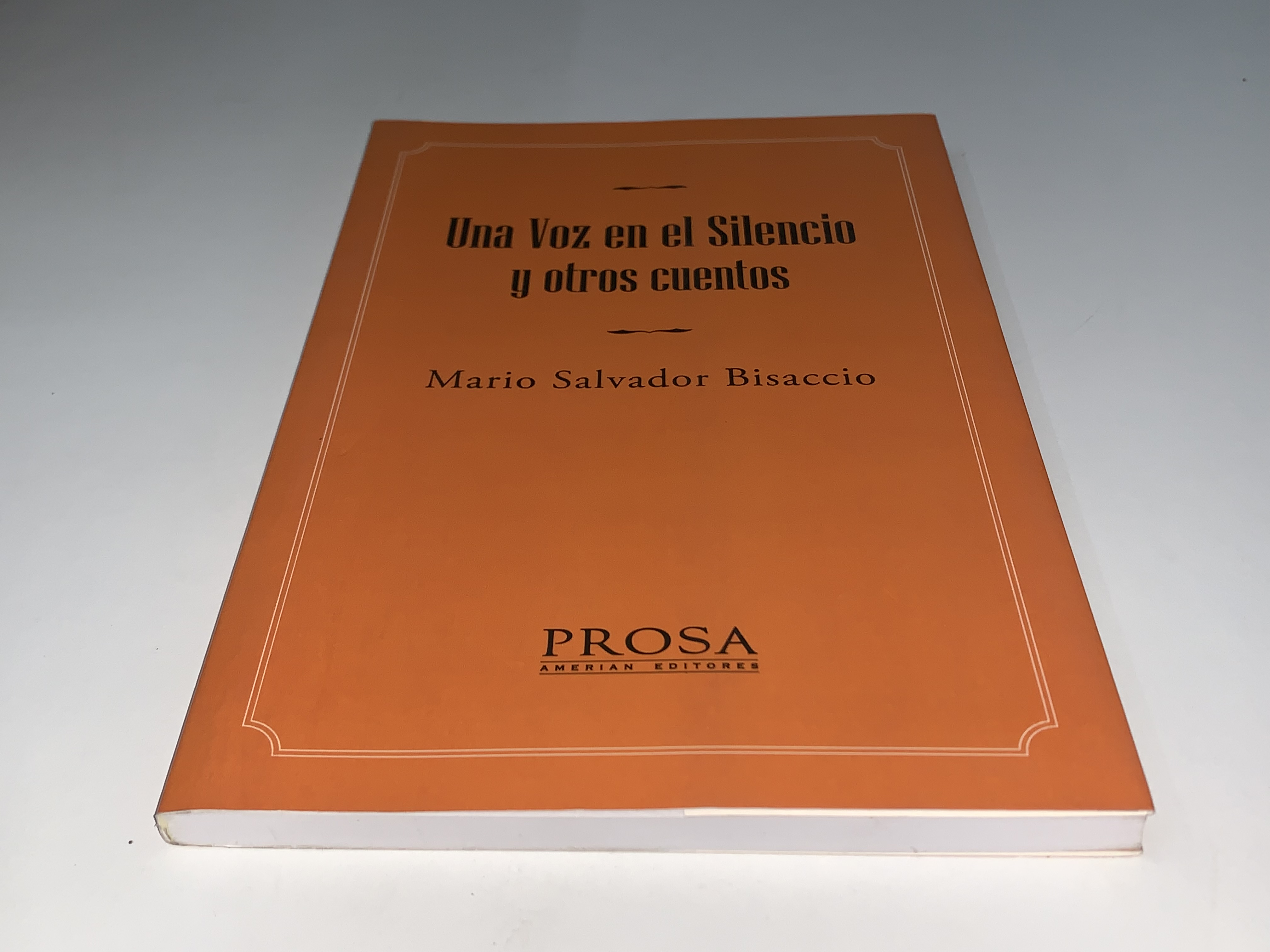 Una Voz en el Silencio y otros cuentos