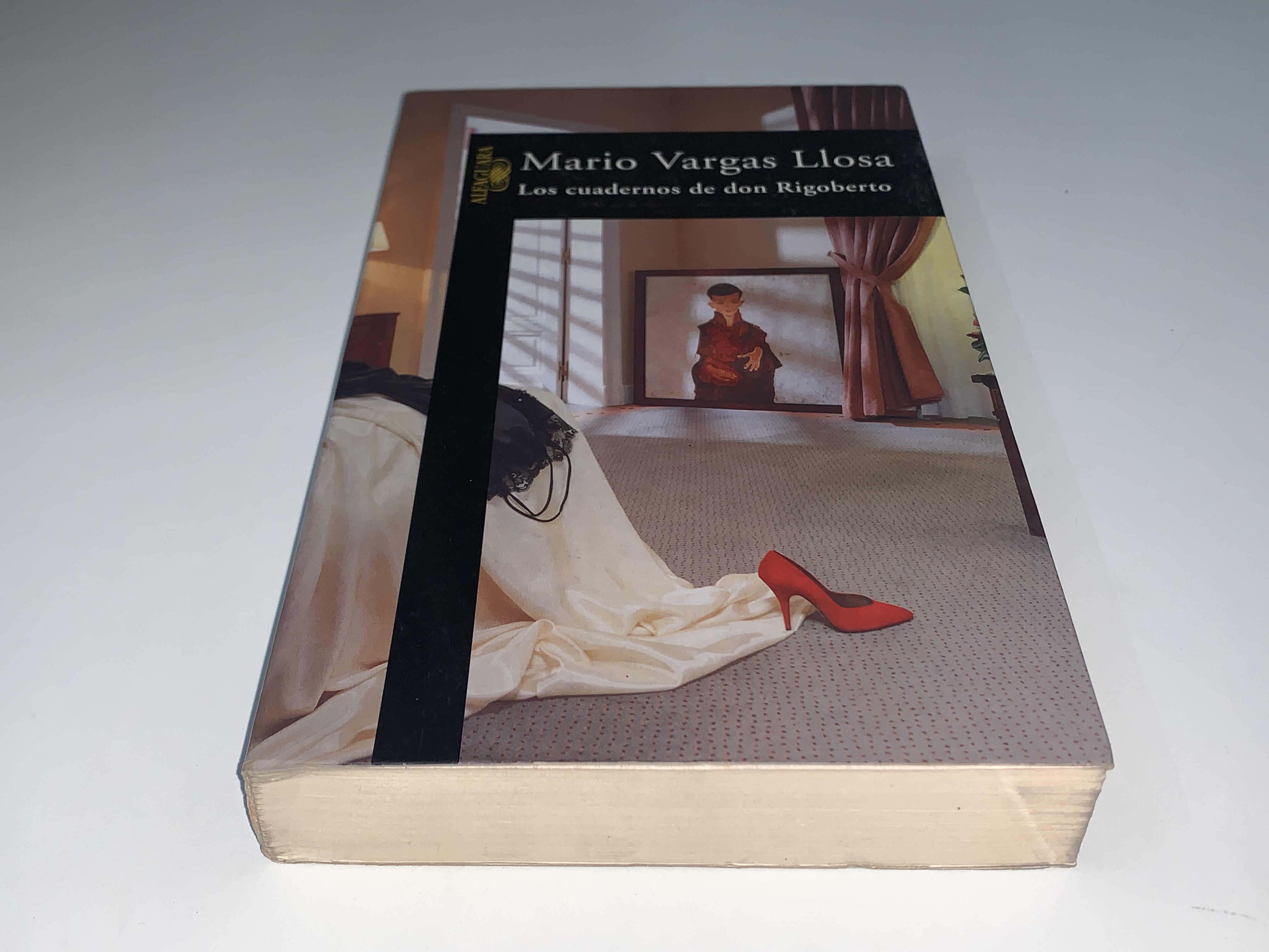 Los cuadernos de don Rigoberto