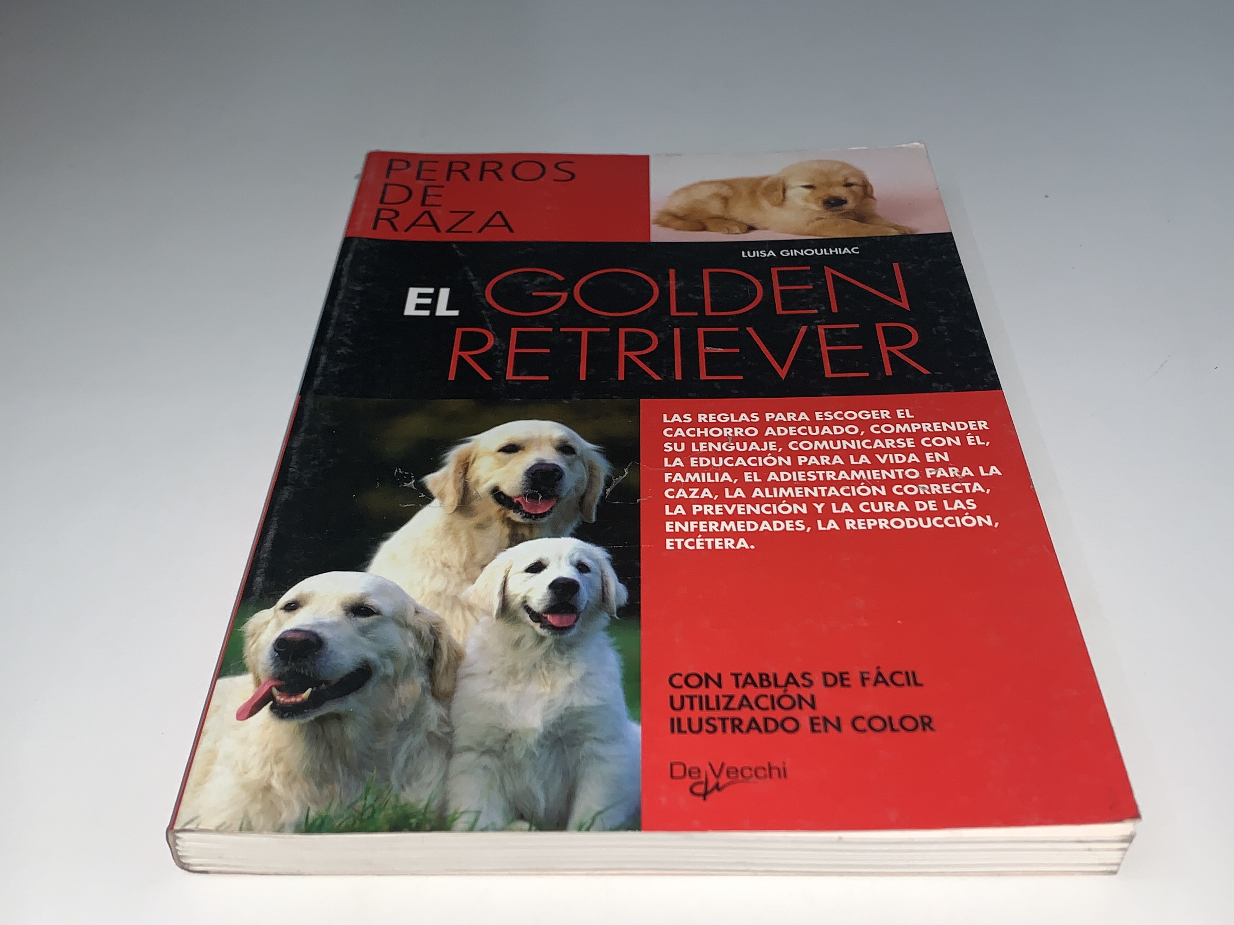 El Golden Retriever