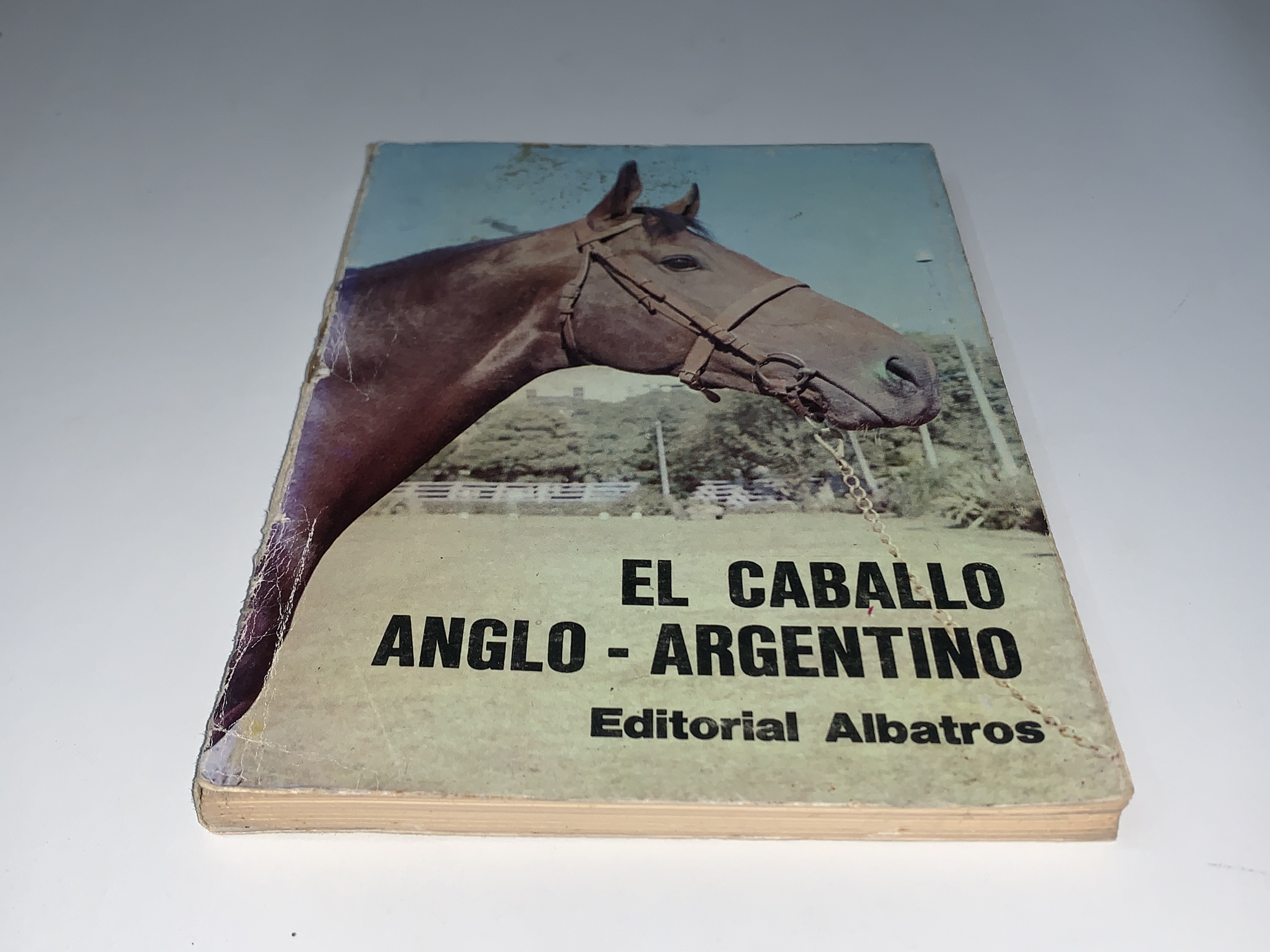 El caballo anglo-argentino