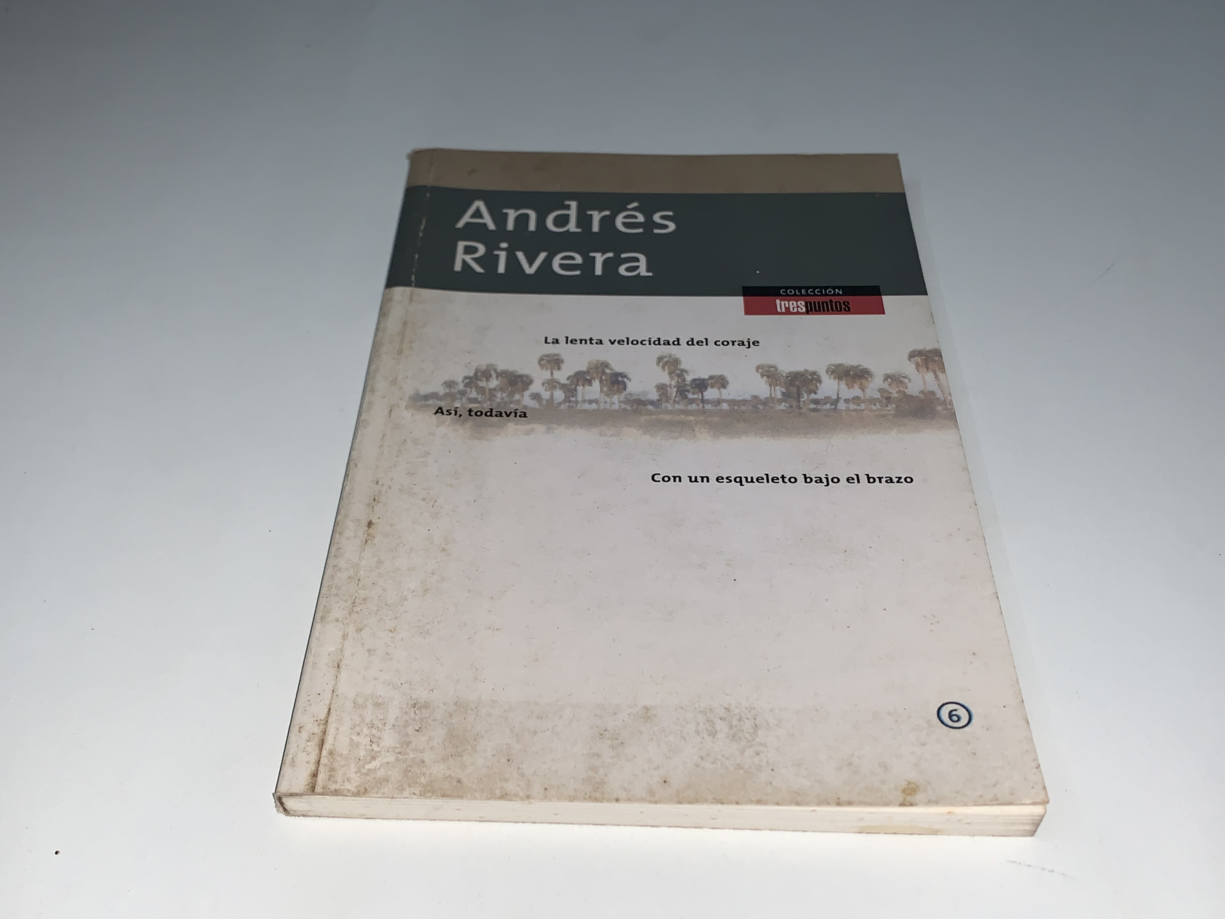 La lenta velocidad del coraje