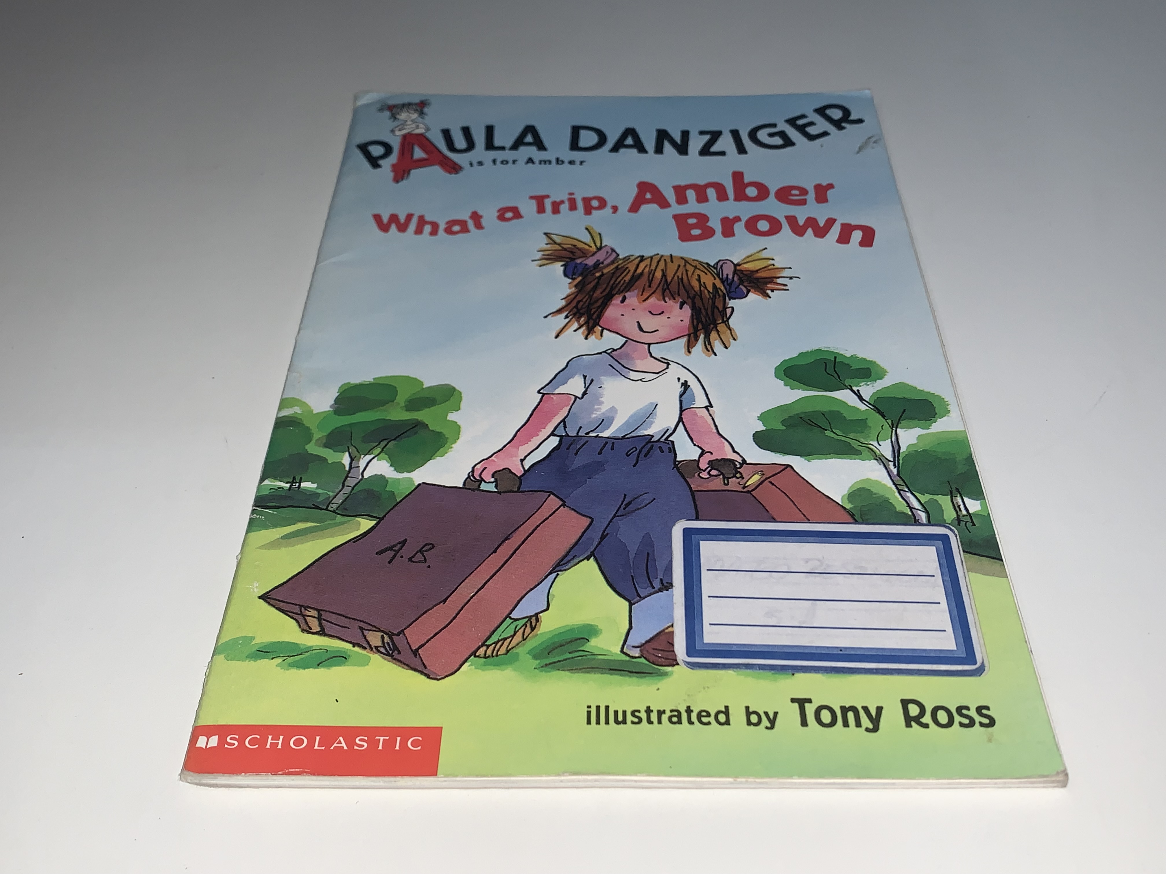 What a Trip, Amber Brown